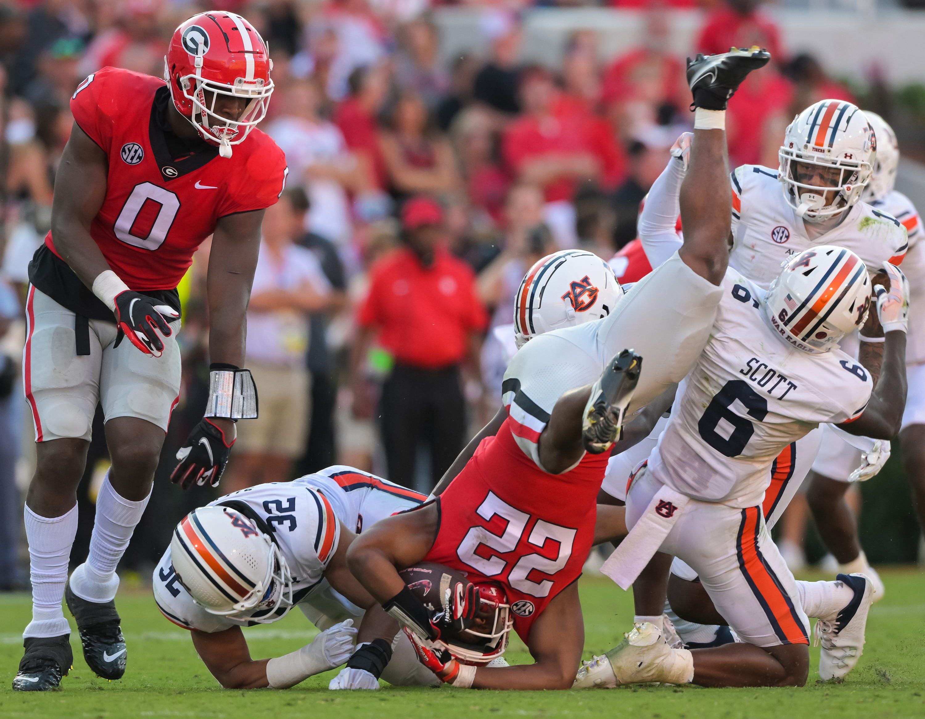 The Auburn Observer