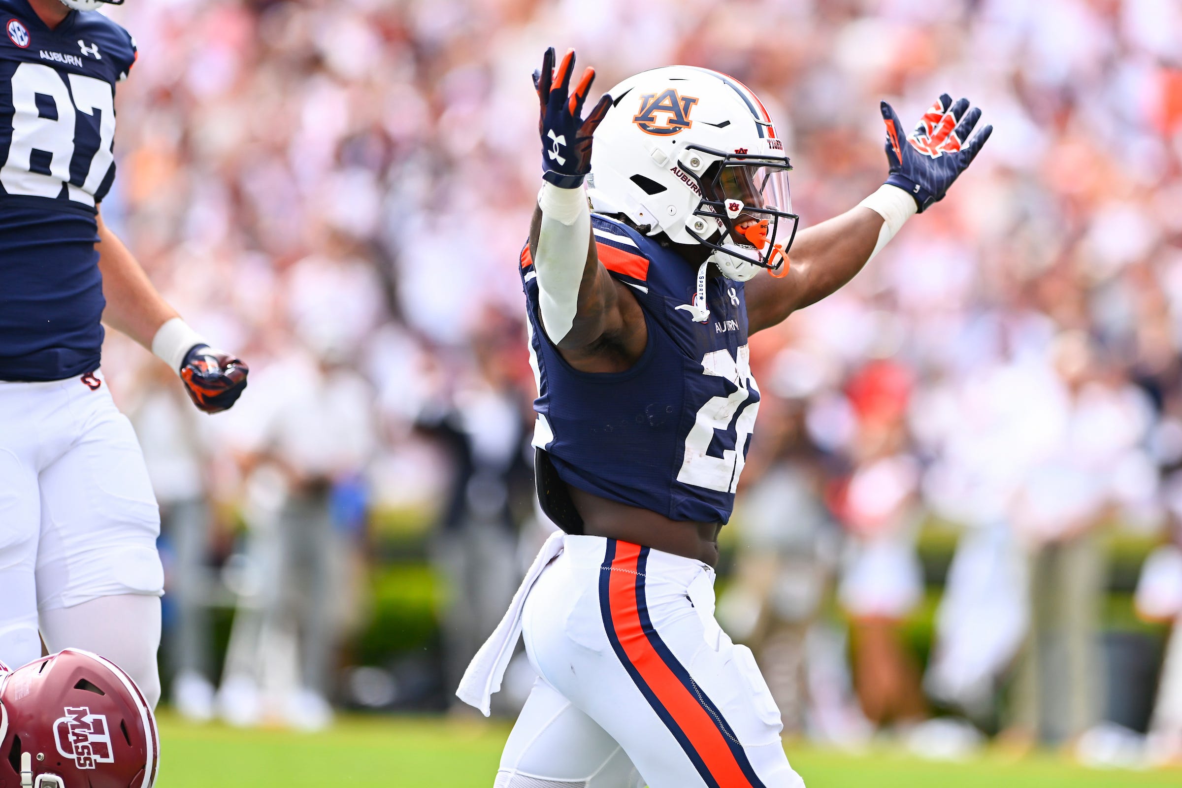 The Auburn Observer