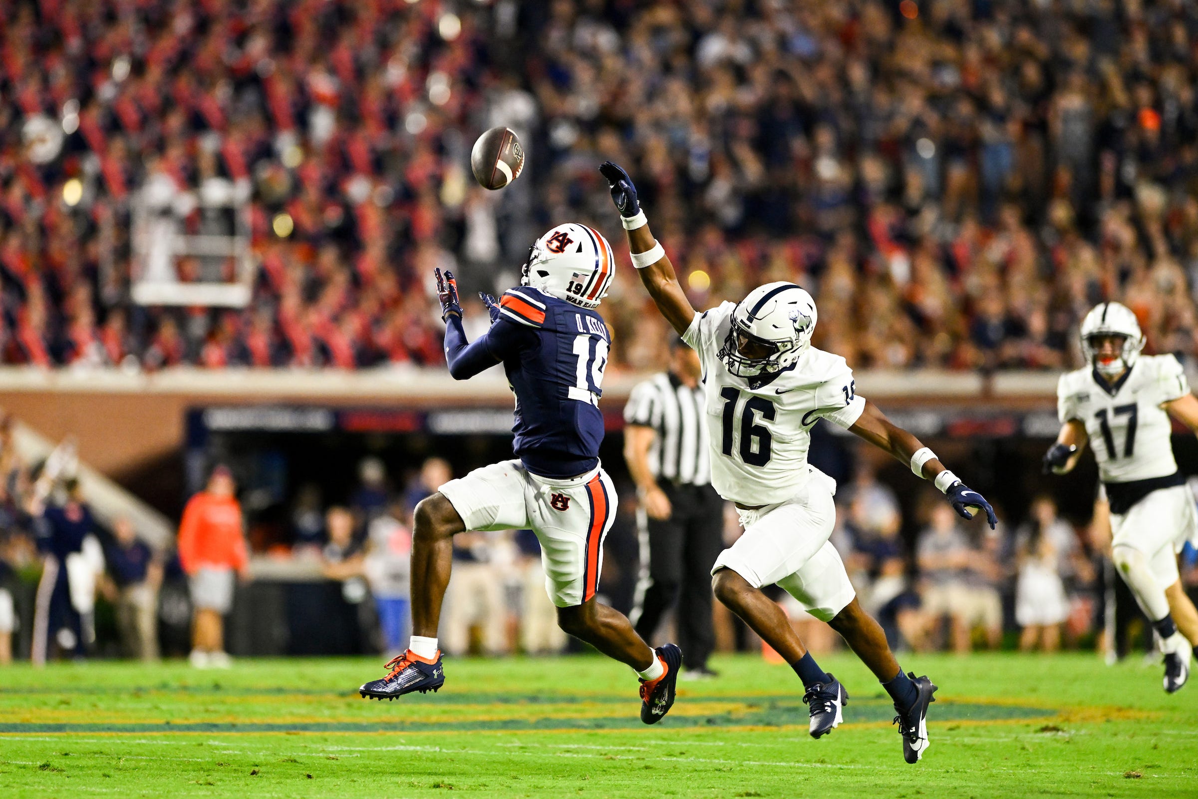The Auburn Observer