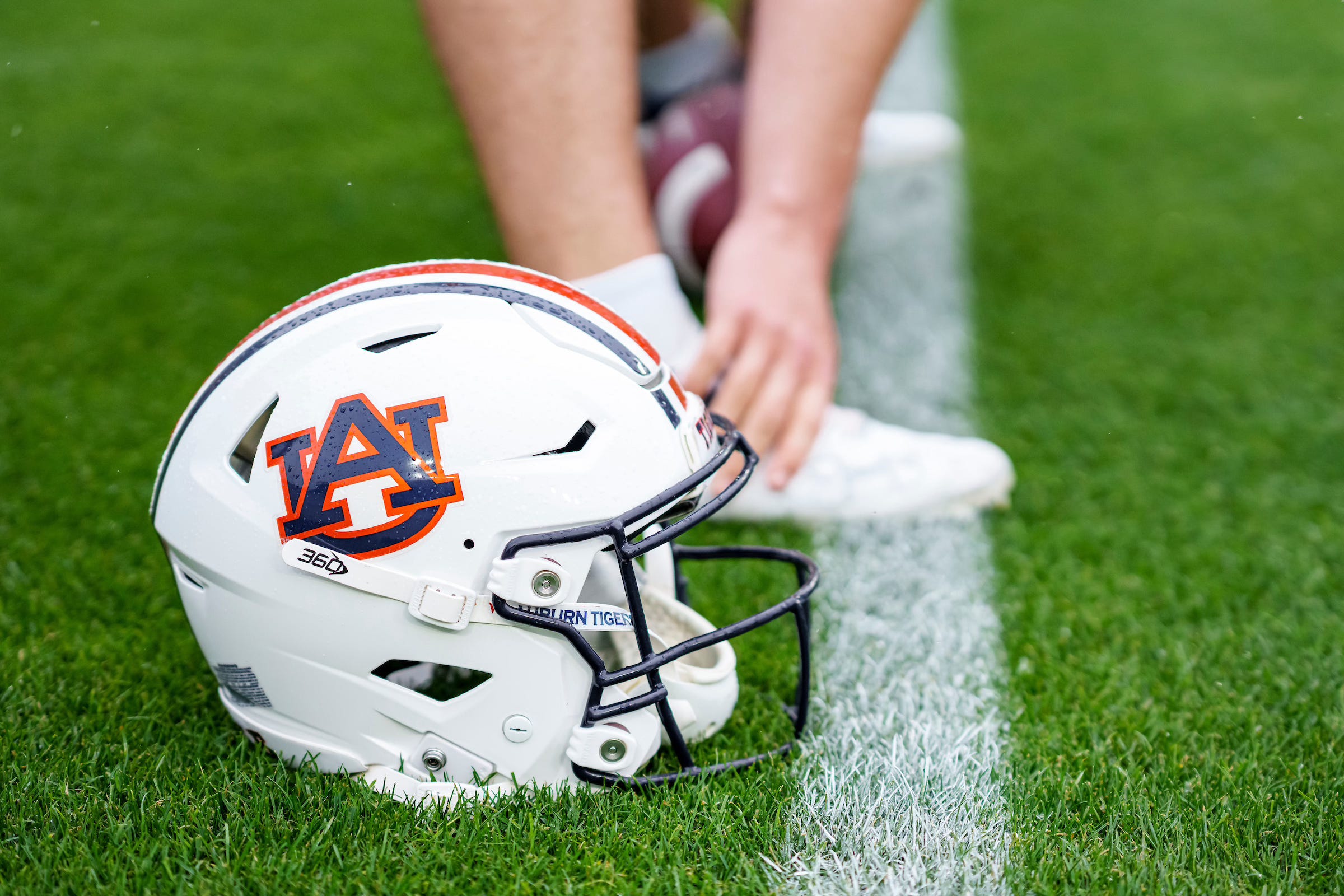 The Auburn Observer