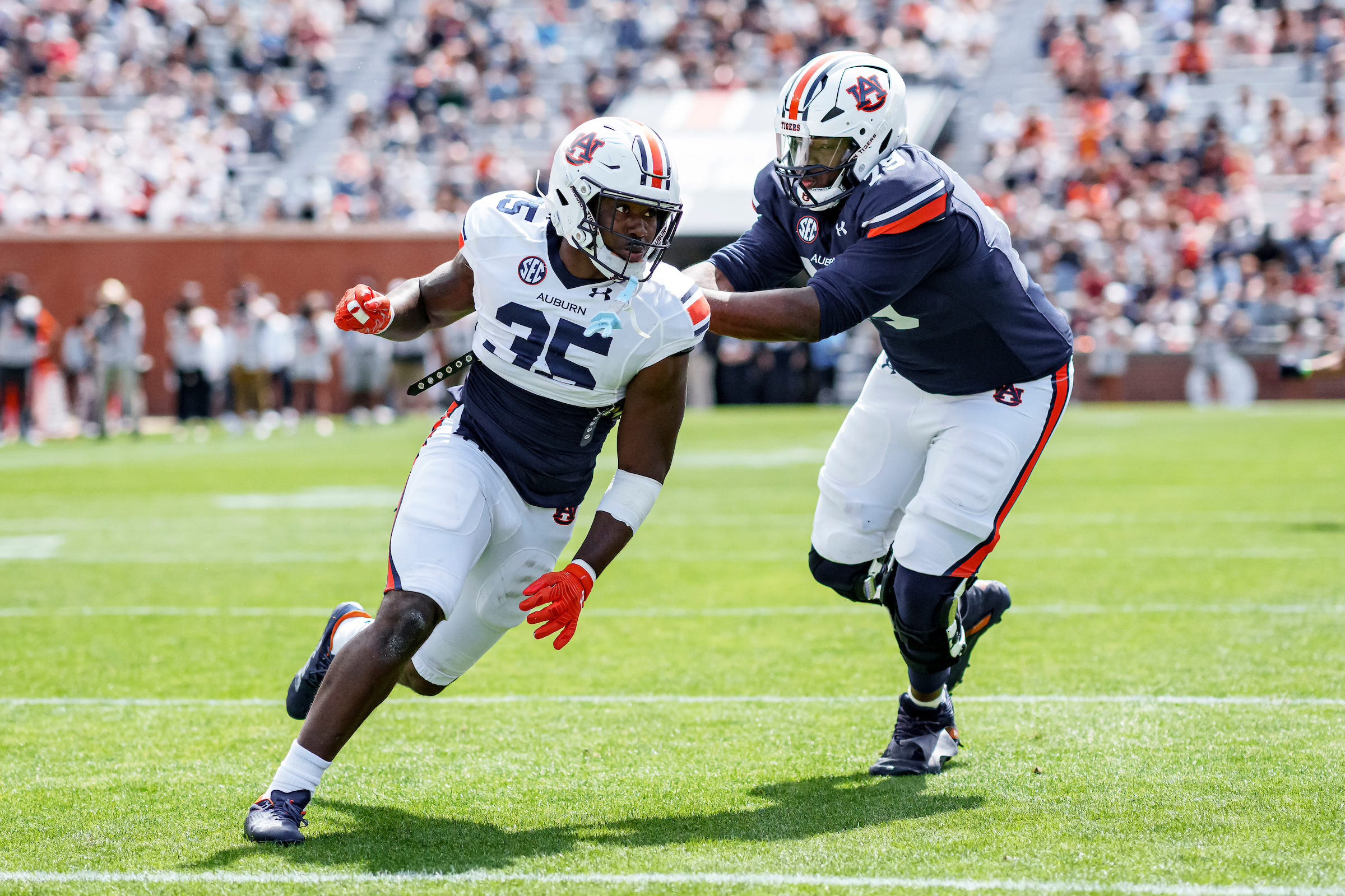 Episode 373: The Jurassic Episode