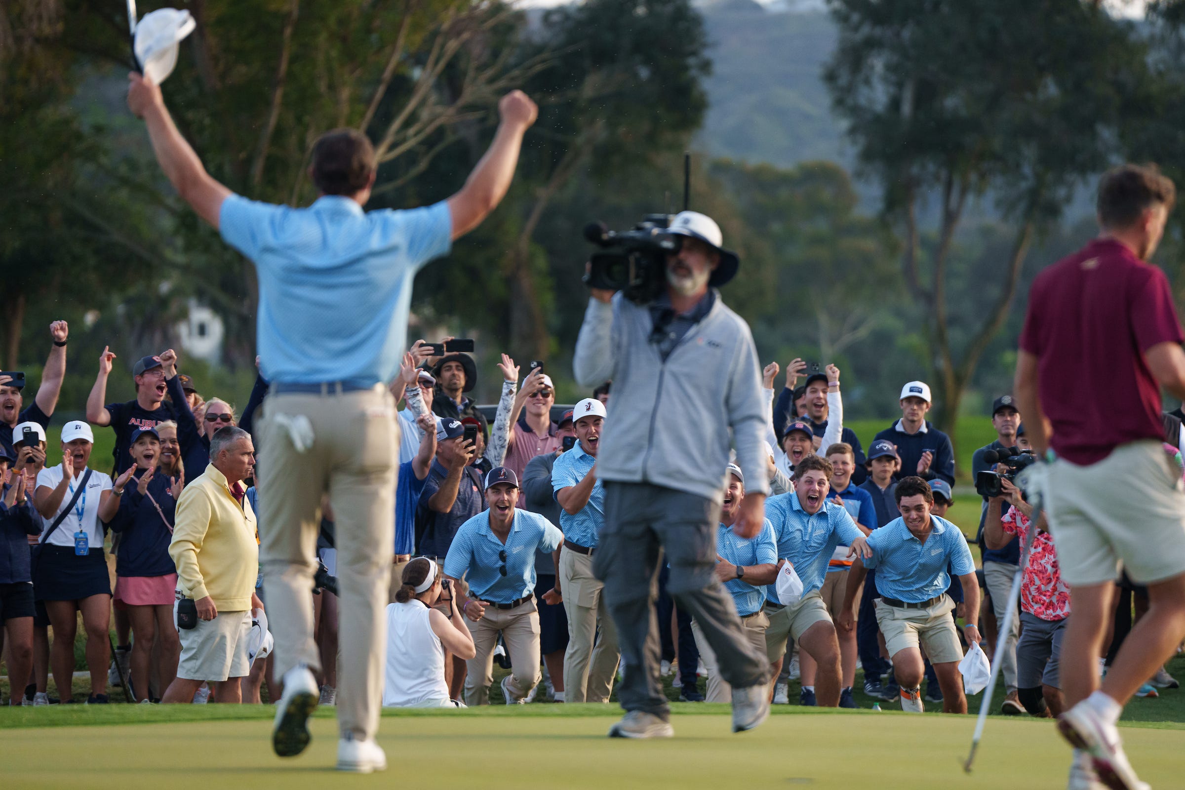 Episode 387: Animals Swinging Golf Clubs (feat. Matt Cohen)