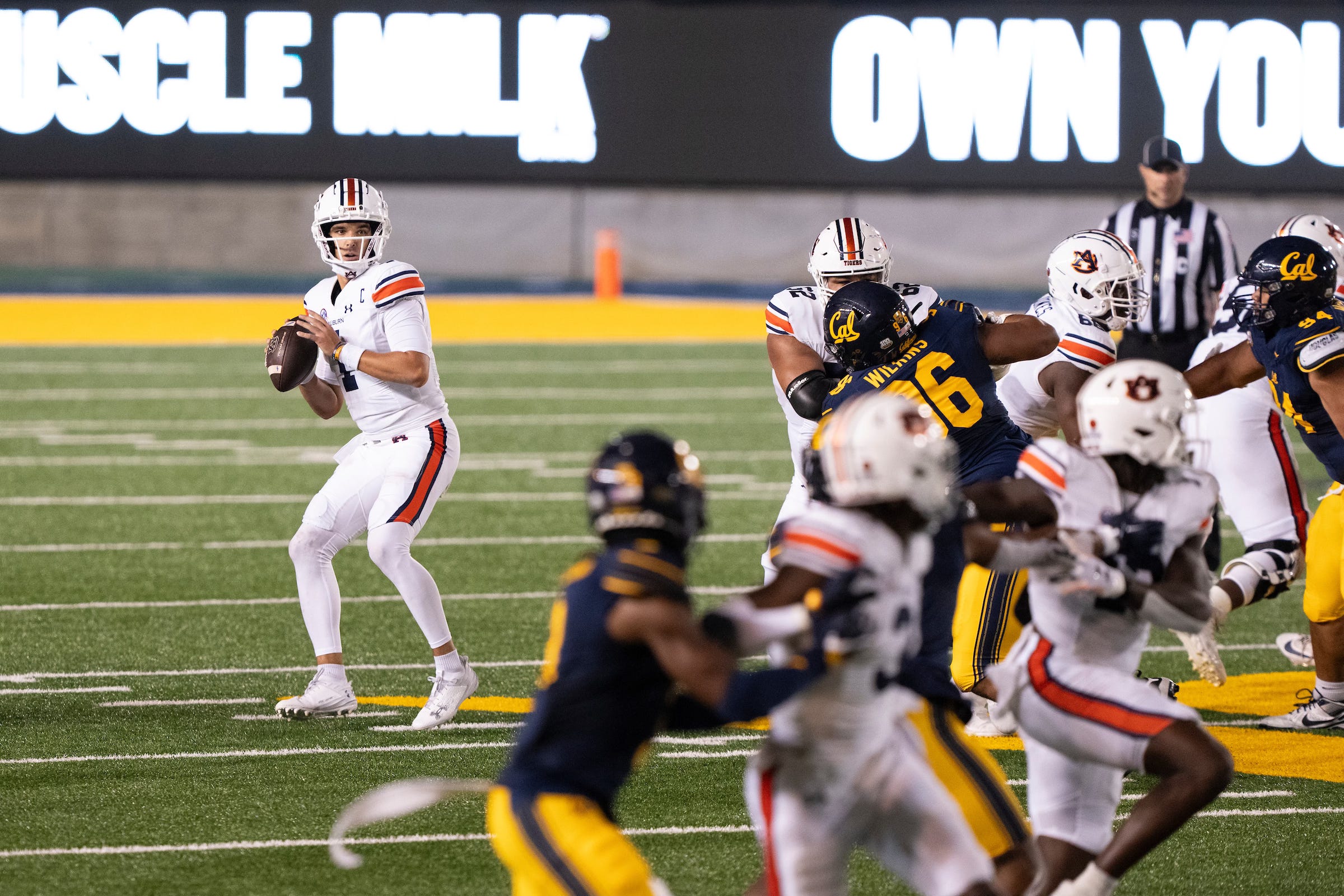 The Auburn Observer