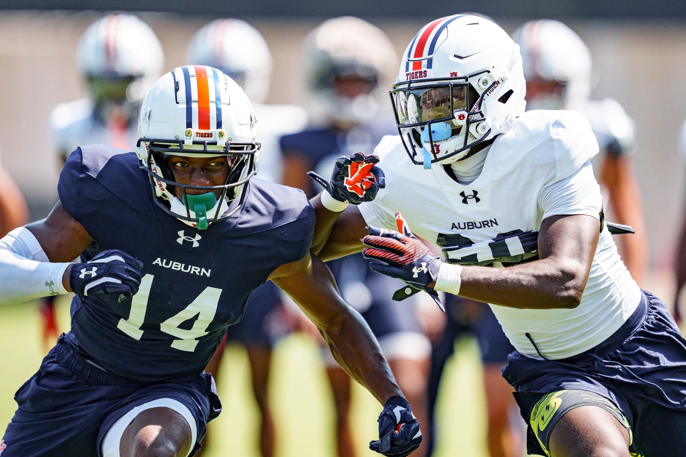 Episode 411: What's the Story, Glory Glory?