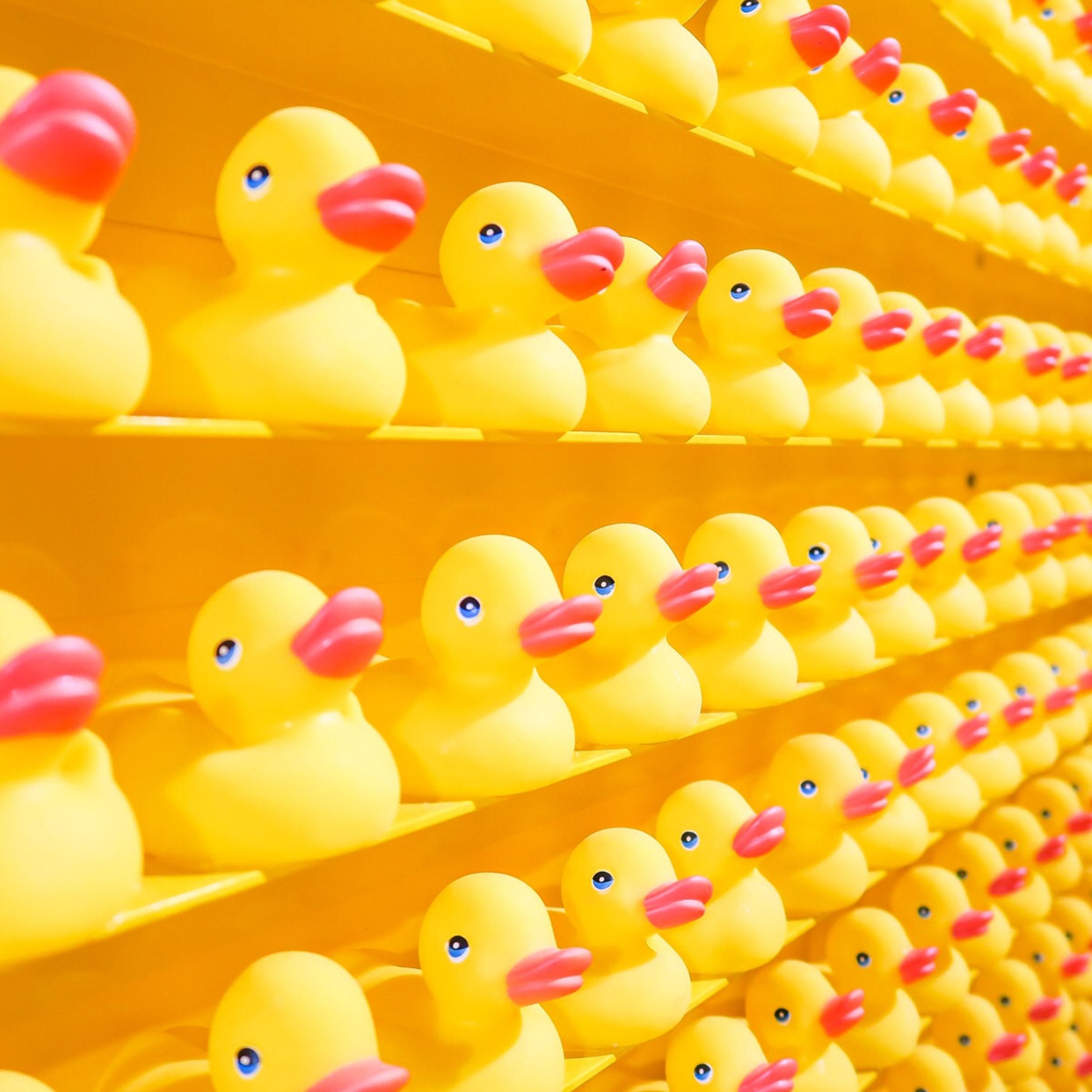 Solopreneur en forme : Vivre de ton contenu sans sacrifier ta santé