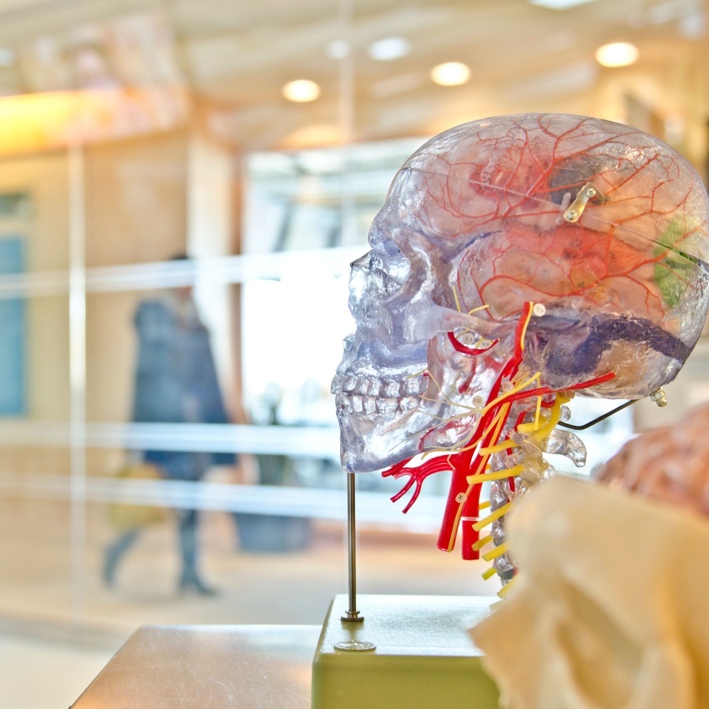 Solopreneur en forme : Vivre de ton contenu sans sacrifier ta santé