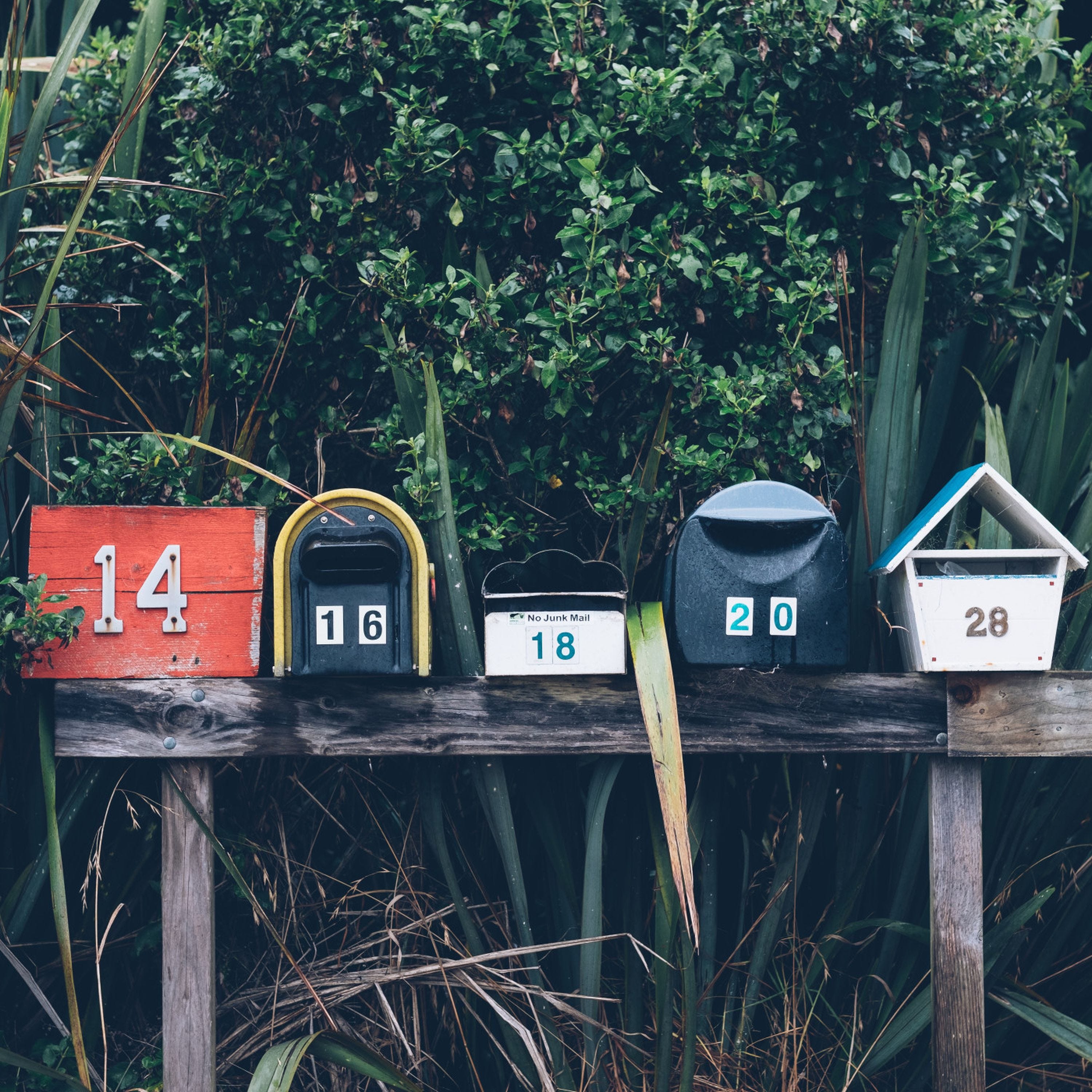 Solopreneur en forme : Vivre de ton contenu sans sacrifier ta santé