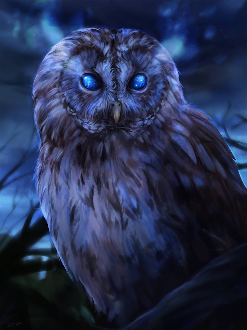 Do you wake up in the middle of the night?