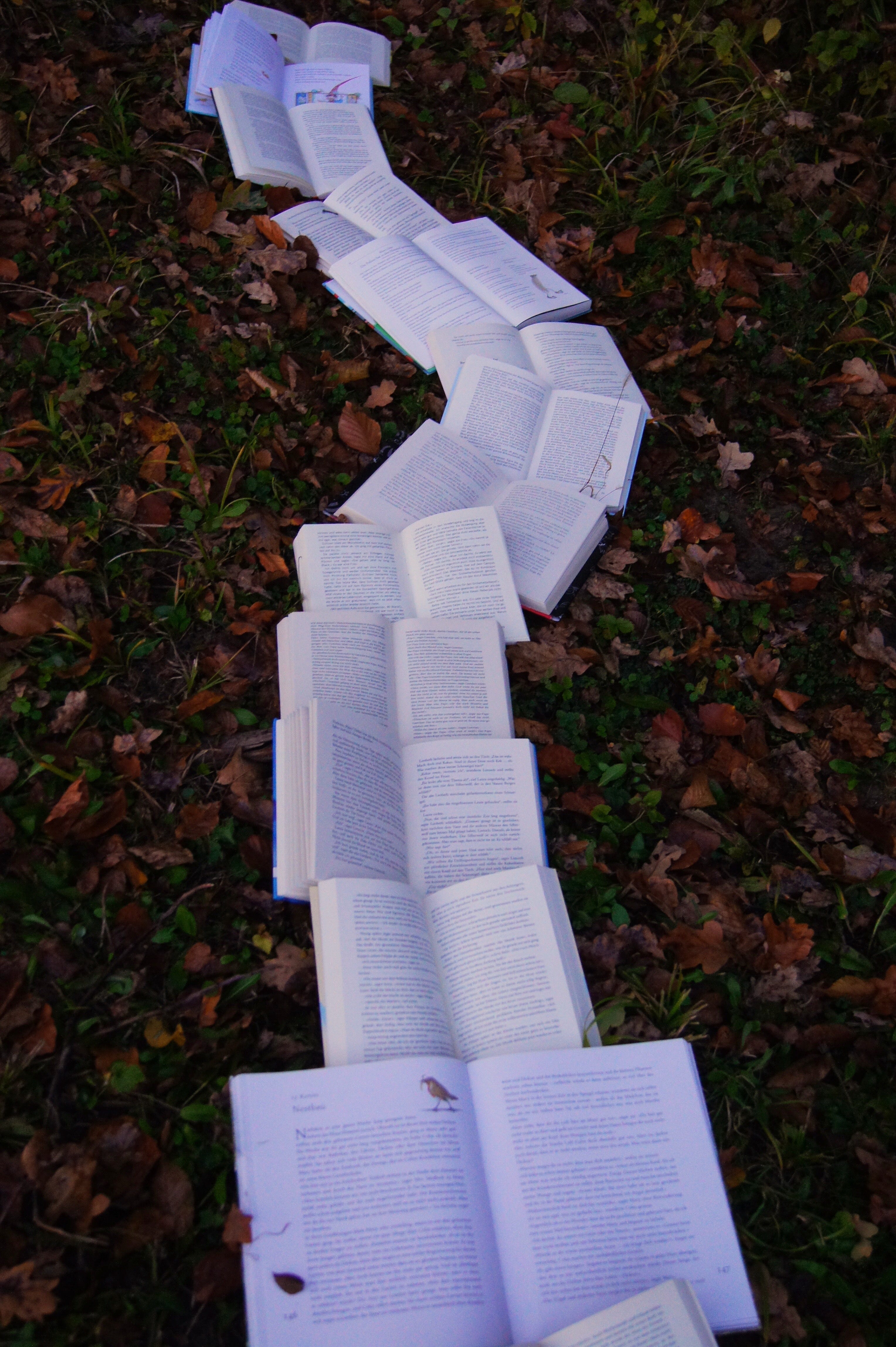 The 7am Novelist
