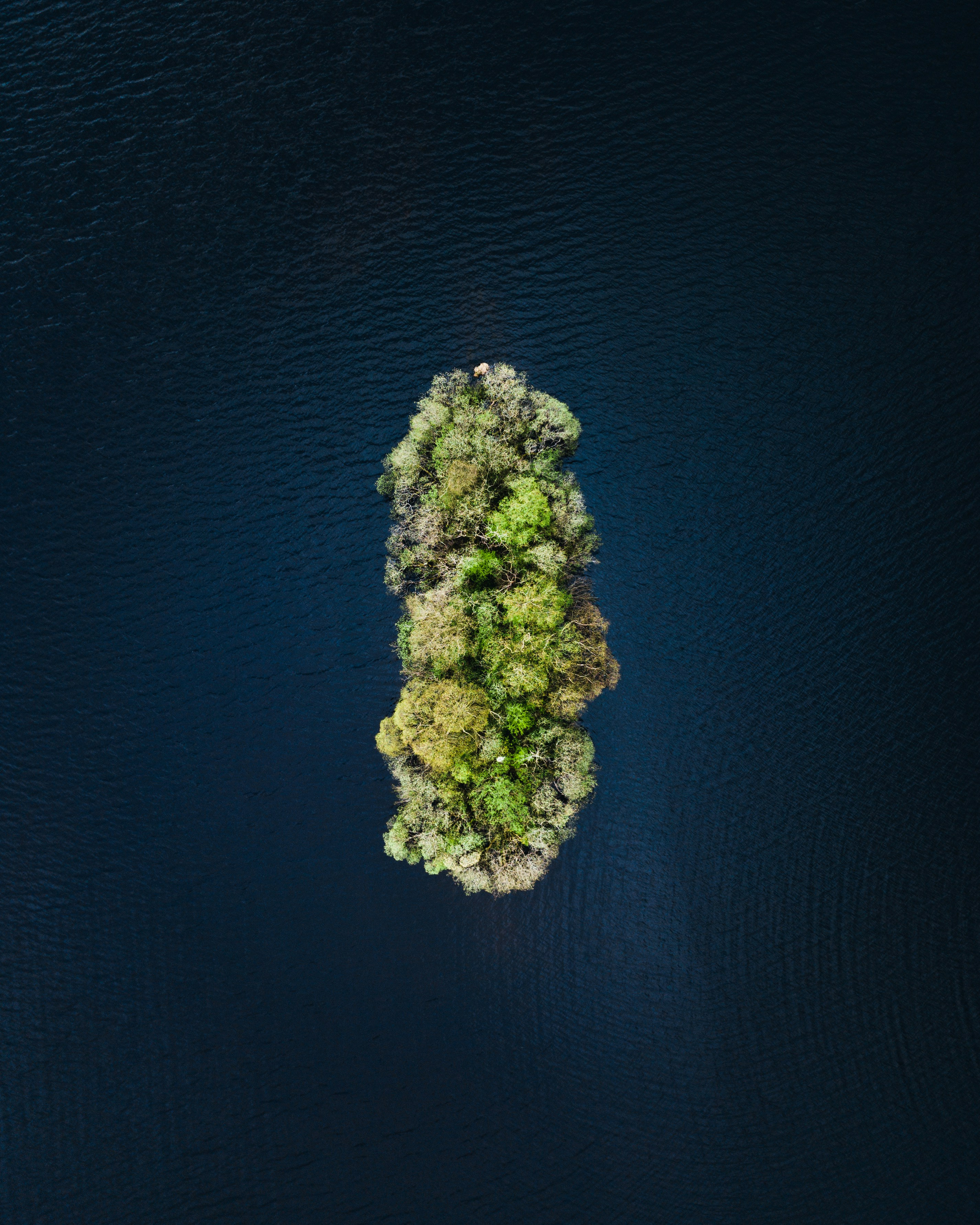 Kate Woodworth on Dealing with an Island's Worth of Points of View  episode artwork