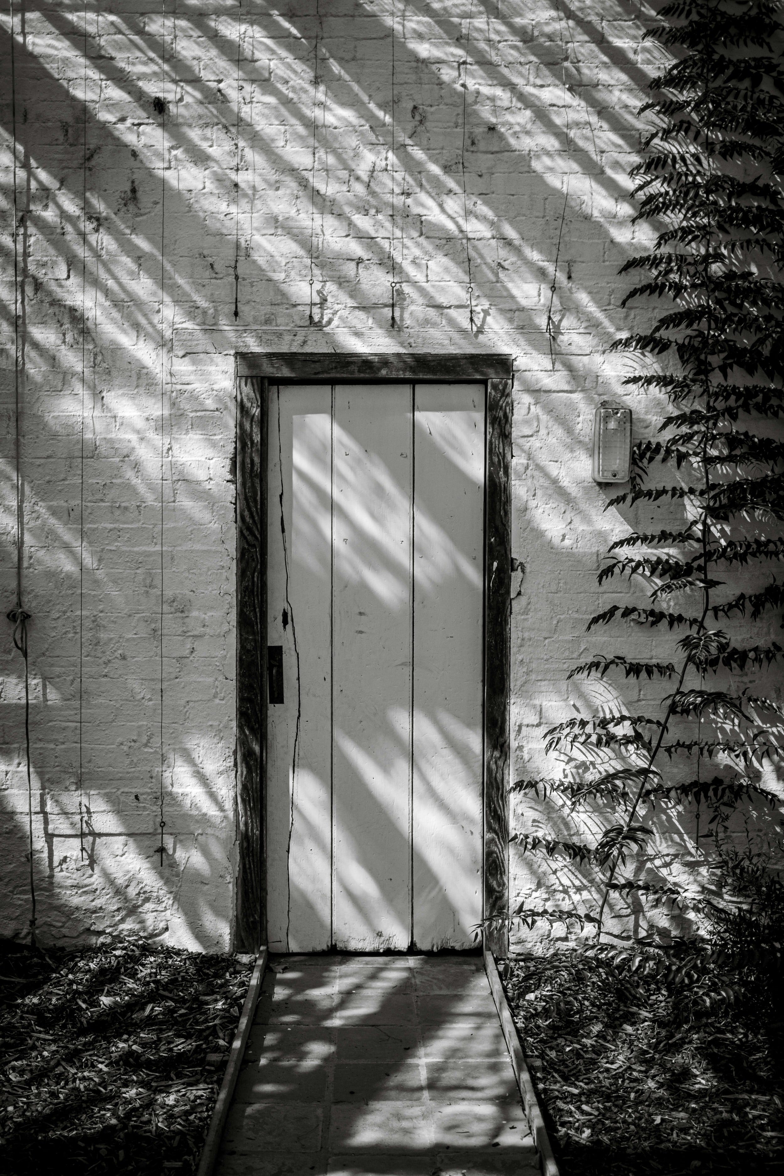 Randy Susan Meyers and Jennifer S. Brown on Truth in Fiction episode artwork