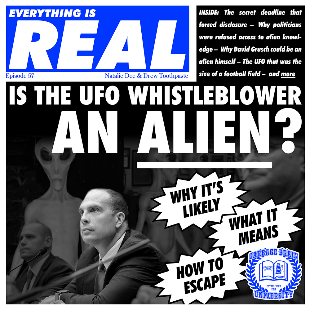 Everything Is Real, Episode 57: Aliens Are Officially Real