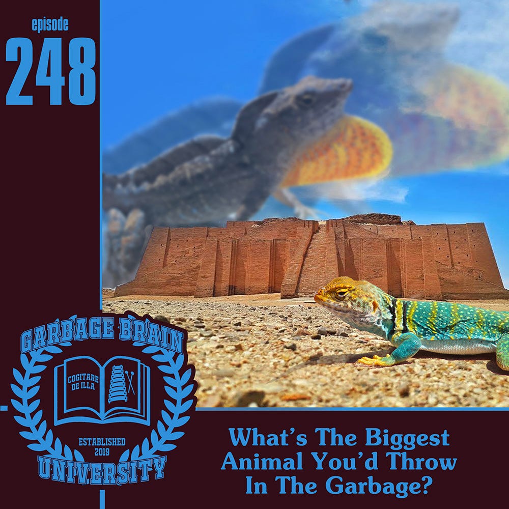 GBU 248: What's The Biggest Animal You'd Throw In The Garbage? episode artwork