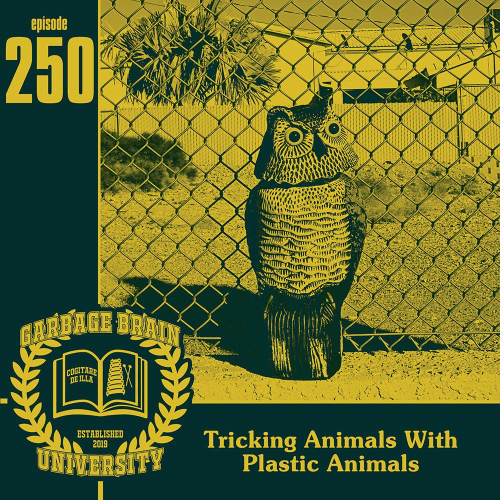 GBU 250: Tricking Animals With Plastic Animals