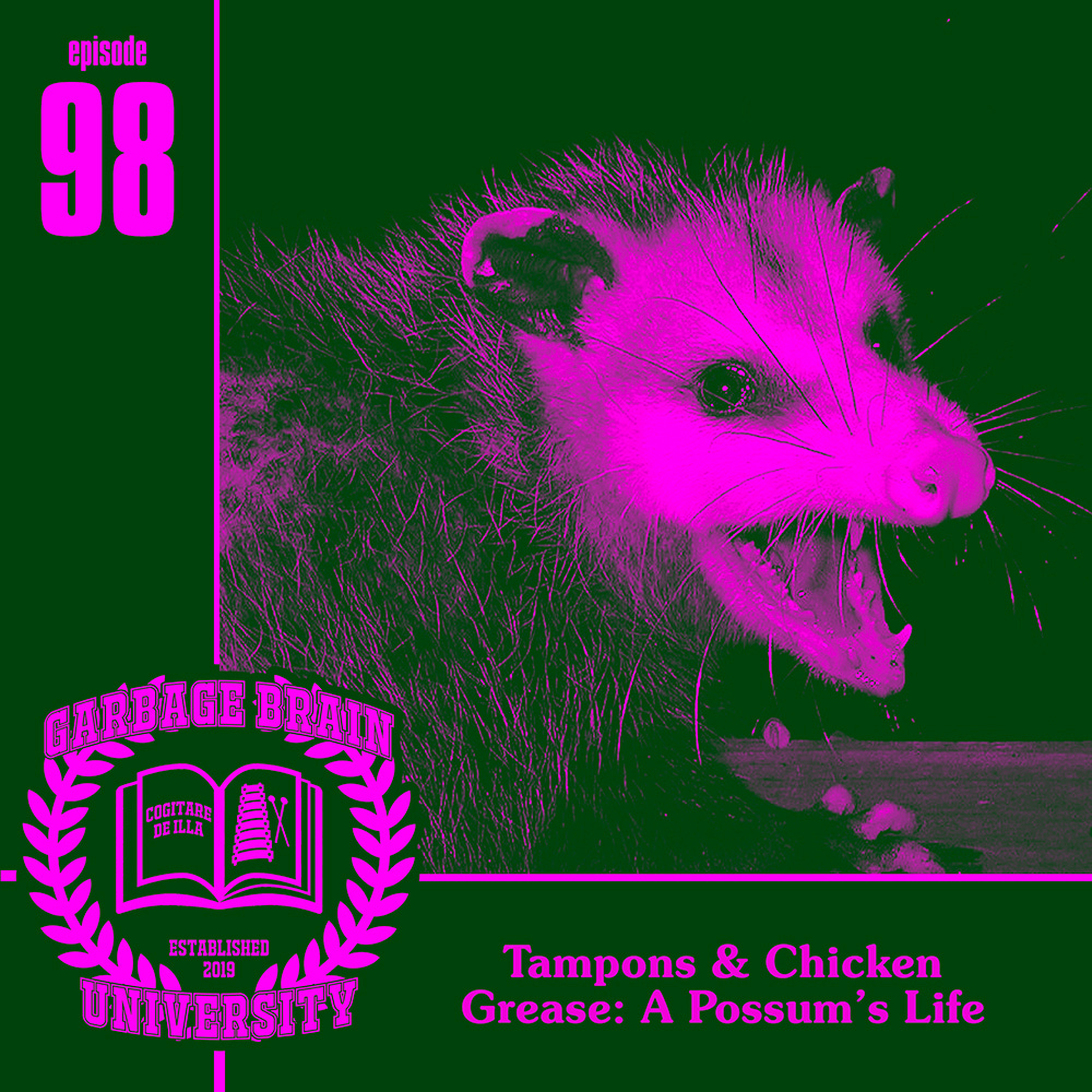 GBU 98: Tampons & Chicken Grease: A Possum's Life