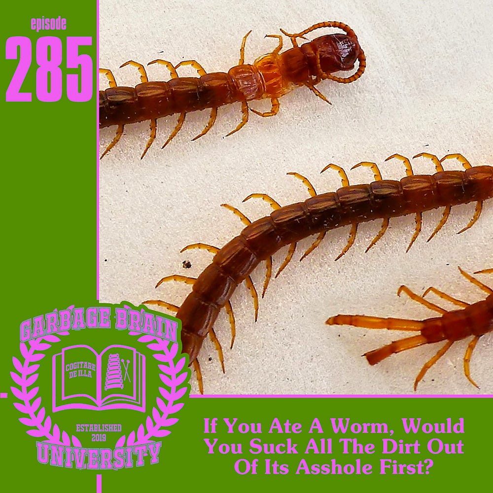 GBU 285: If You Ate A Worm, Would You Suck All The Dirt Out Of Its Asshole First? episode artwork