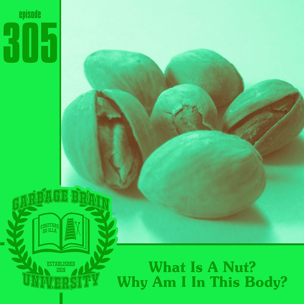 GBU 305: What Is A Nut? Why Am I In This Body? episode artwork