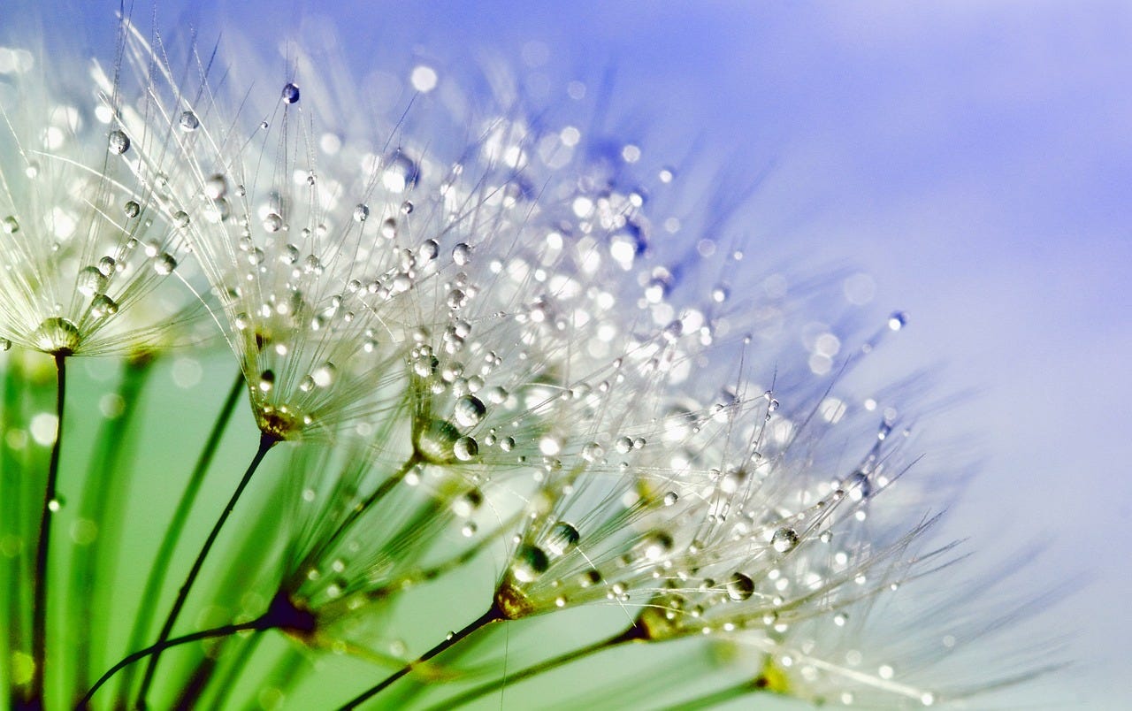 The Five Aggregates (part 05)