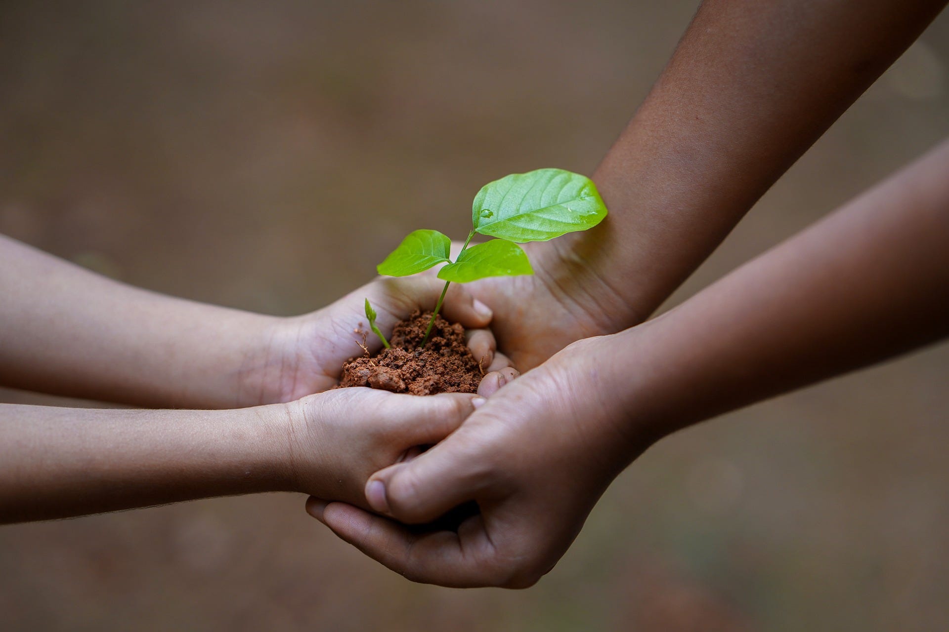The Equal Nature of All Beings