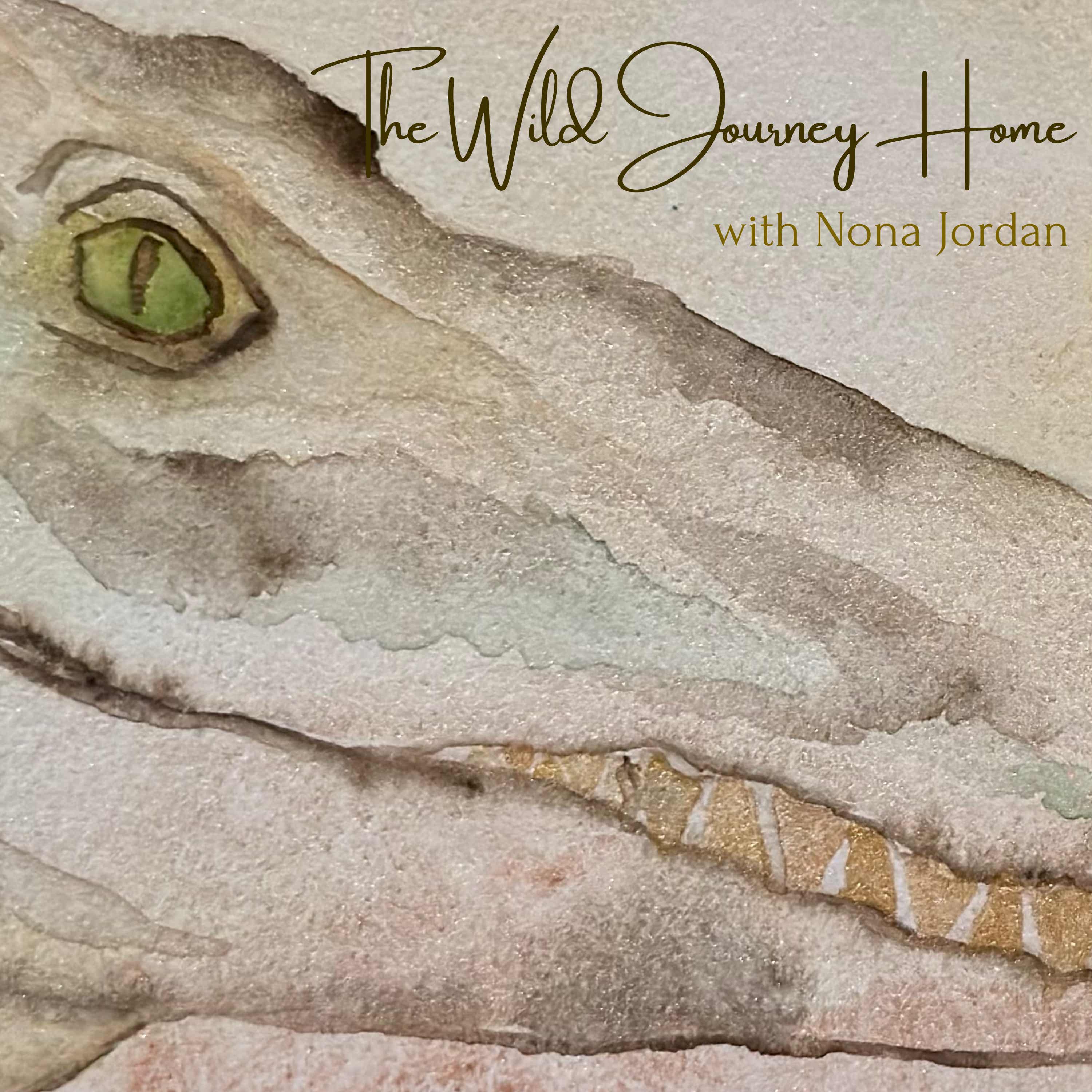 The Wild Journey Home Podcast