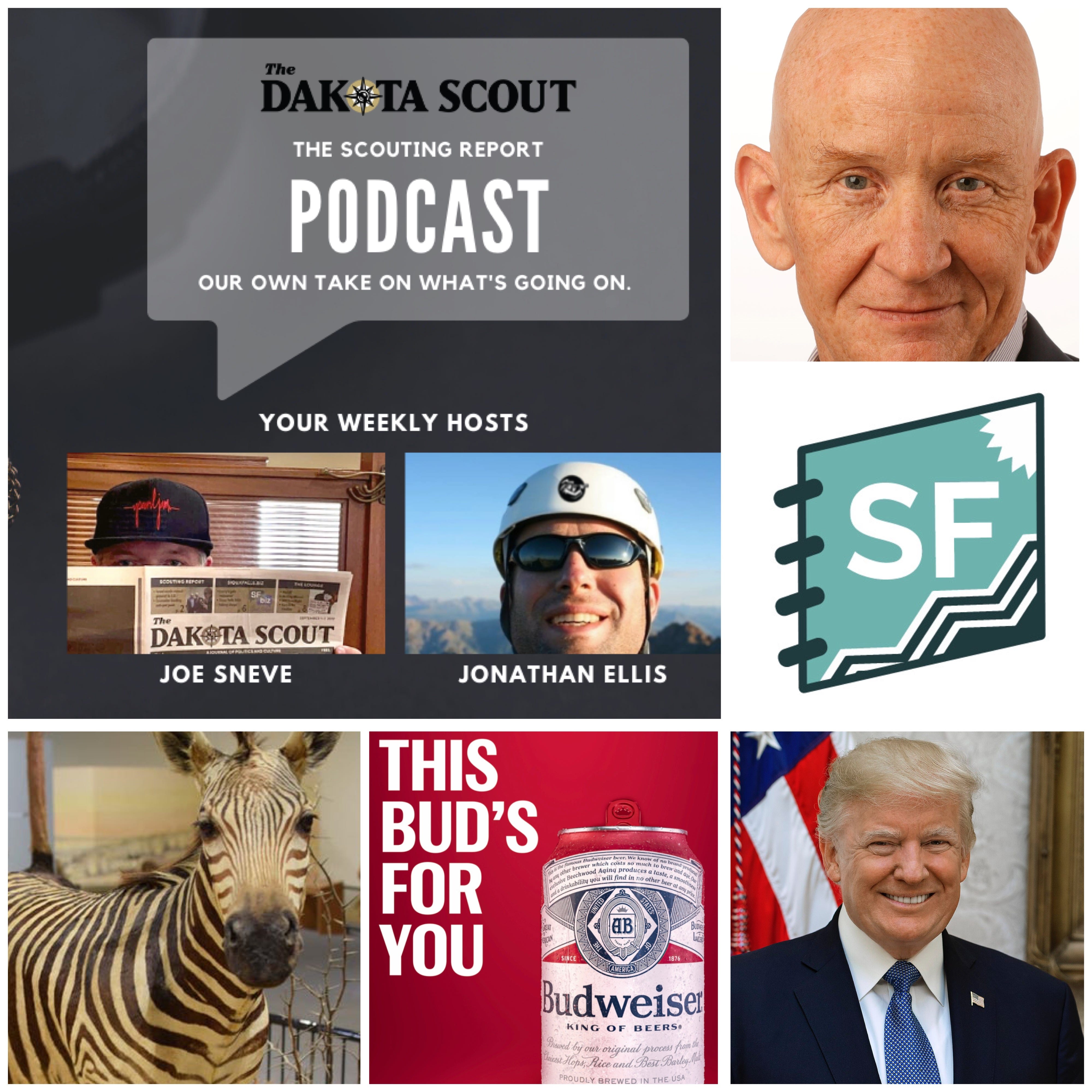 Stepping in taxidermy, the Trump tribe, AI's place in journalism & what do about South Dakota counties