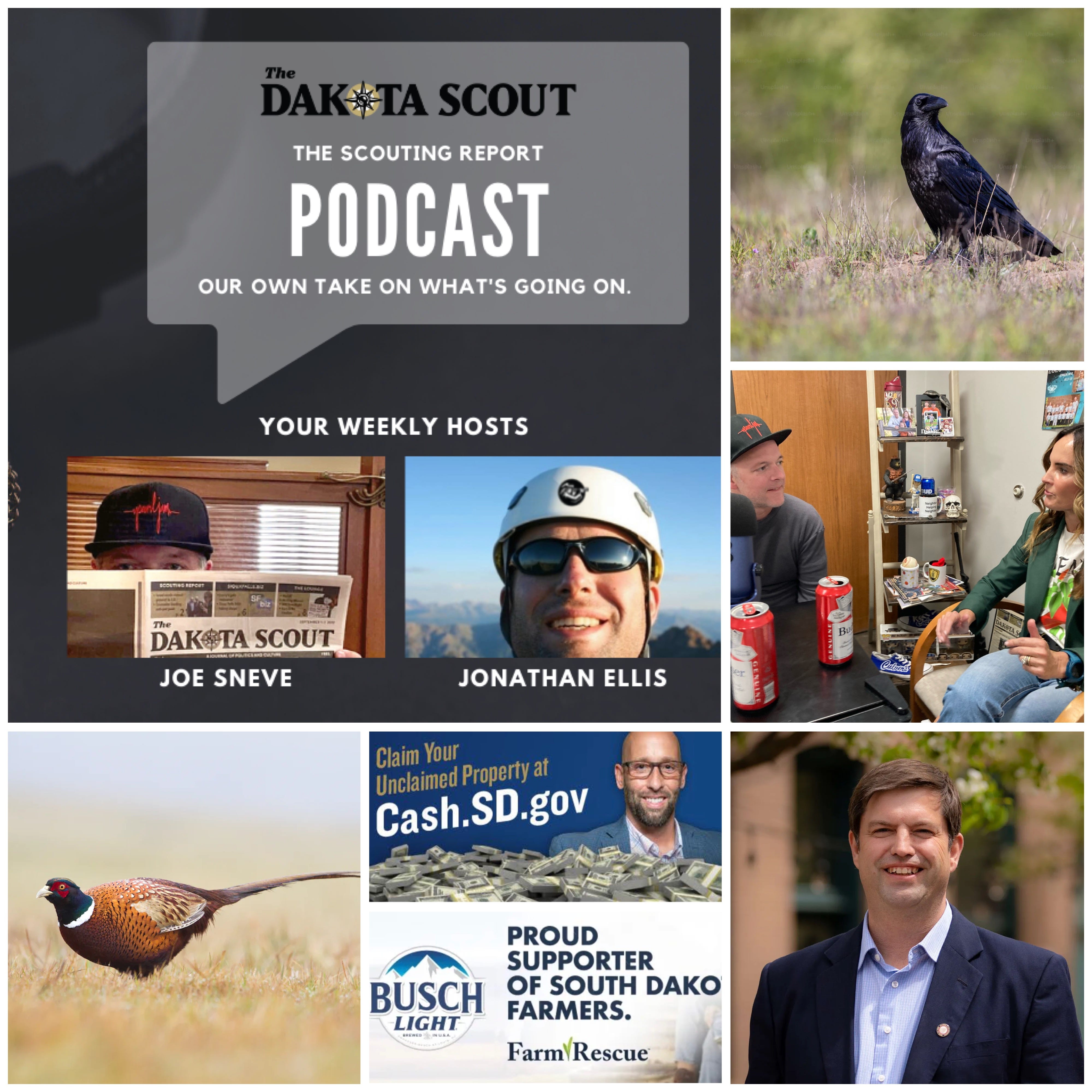 The public school dilemma, newsroom microaggressions, crow murders & the return of Dan Ahlers