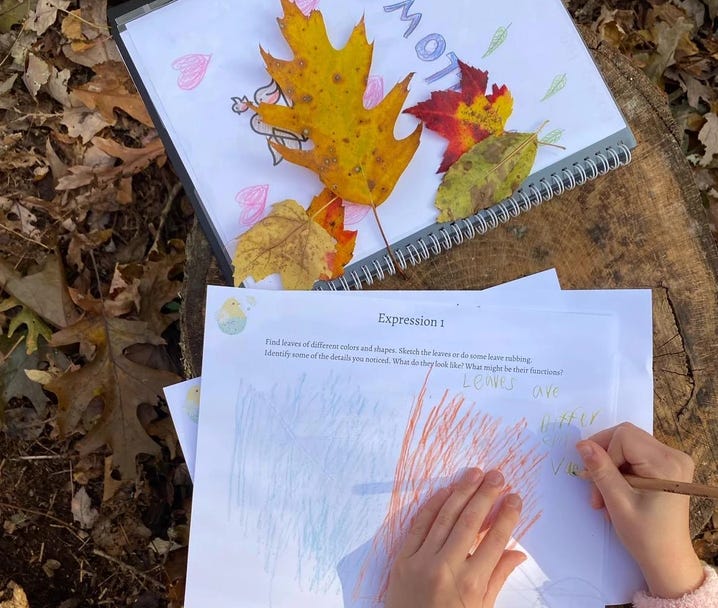 Lydia Cao: Cultivating wholesome and joyful learning at home with Birdhouse Lydia Cao: Cultivating wholesome and joyful learning at home with Birdhouse