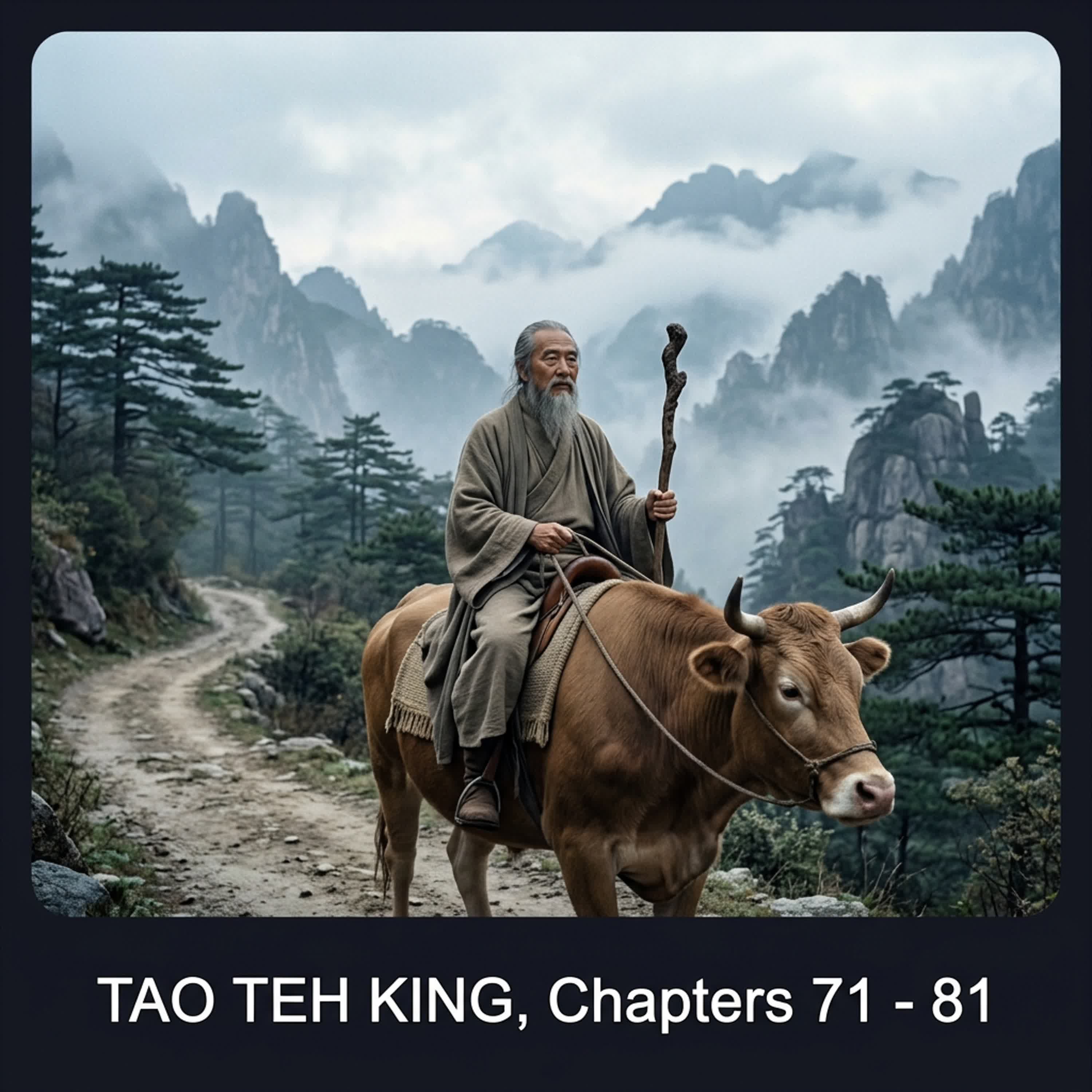 Tao Te Ching - 8 - Chapters 71-81 episode artwork