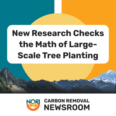 New research checks the math of large-scale tree planting episode artwork