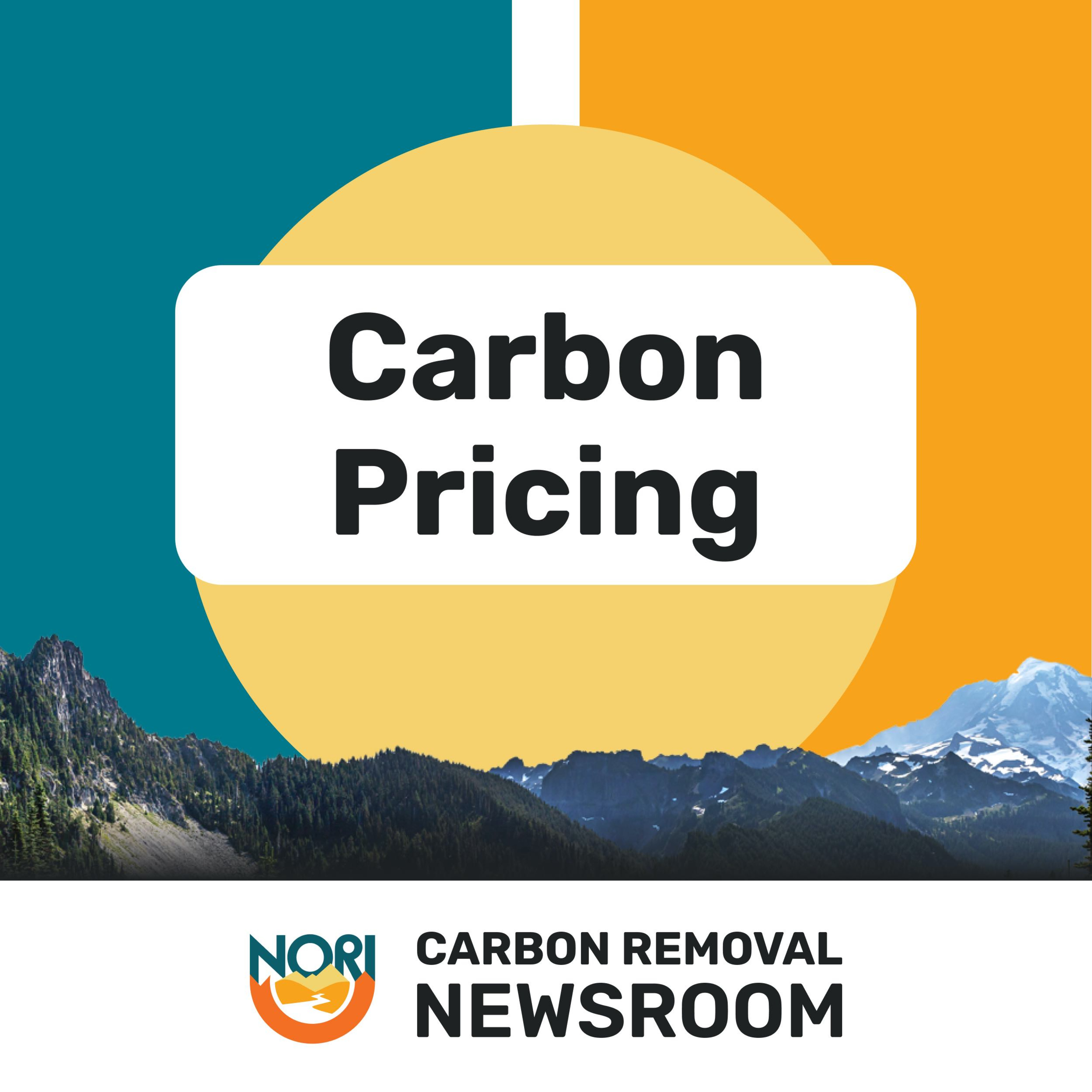 Carbon pricing bills, forest carbon offsets, & a progressive platform for carbon removal episode artwork