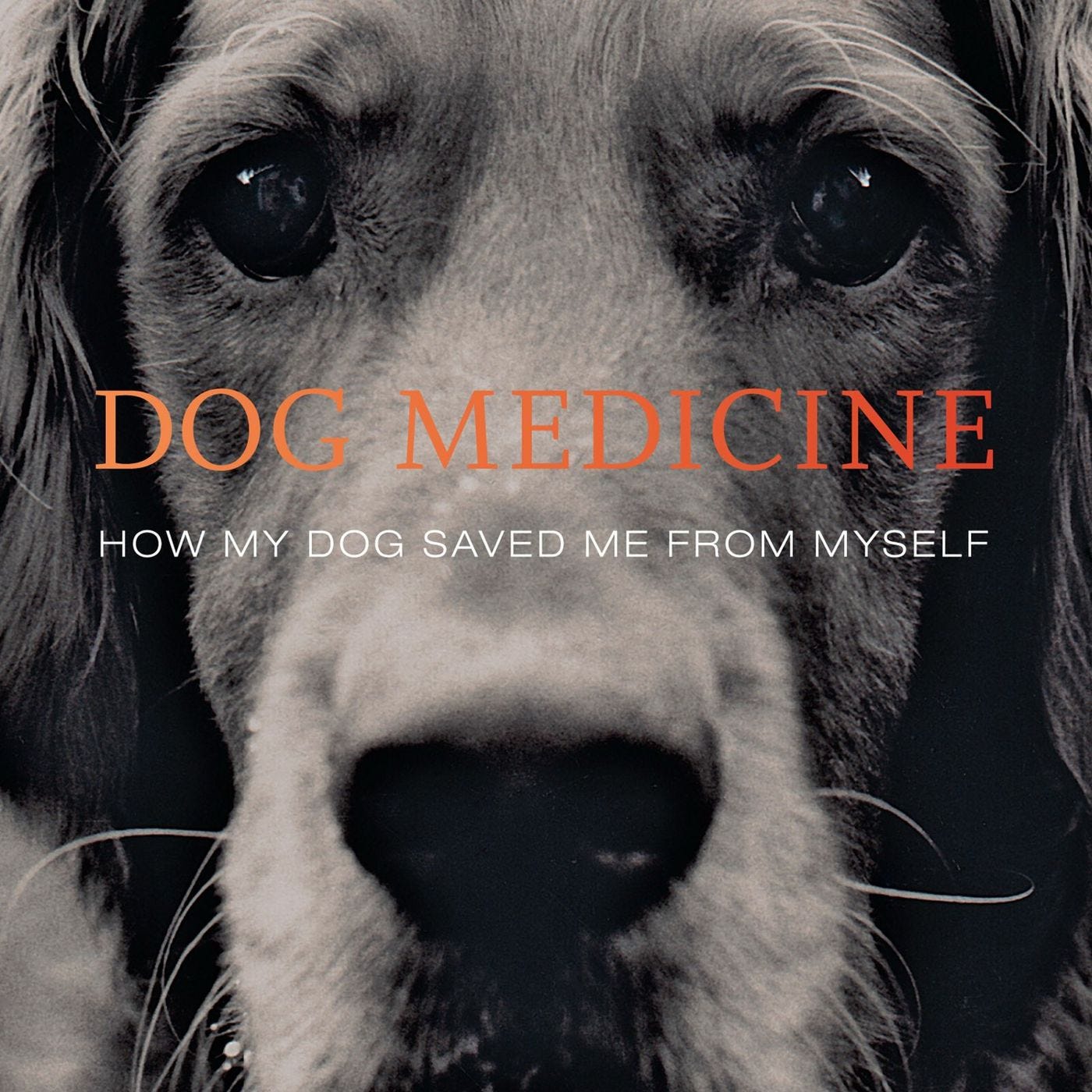 Dog Medicine with Julie Barton