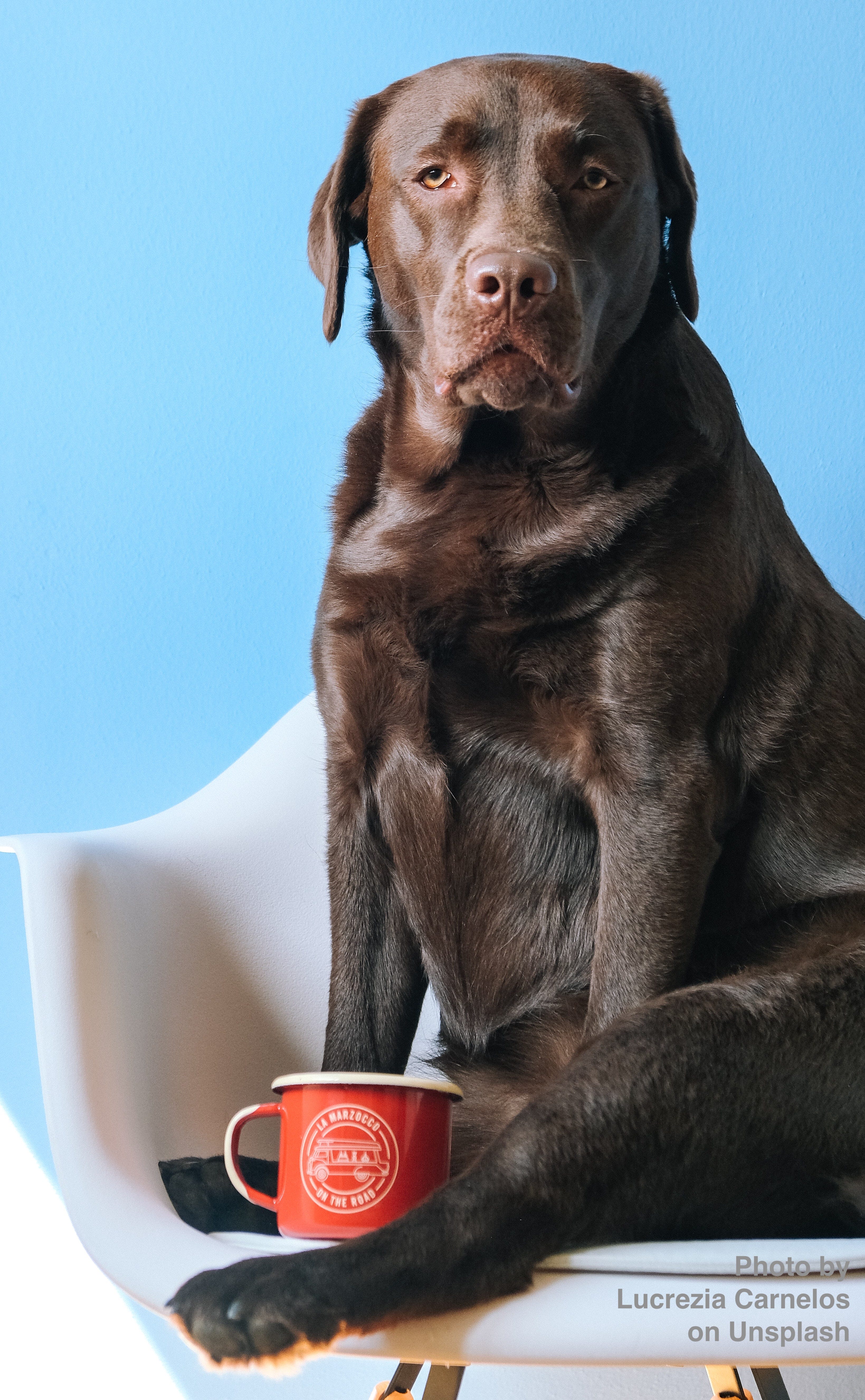 Physician Interrupted Podcast