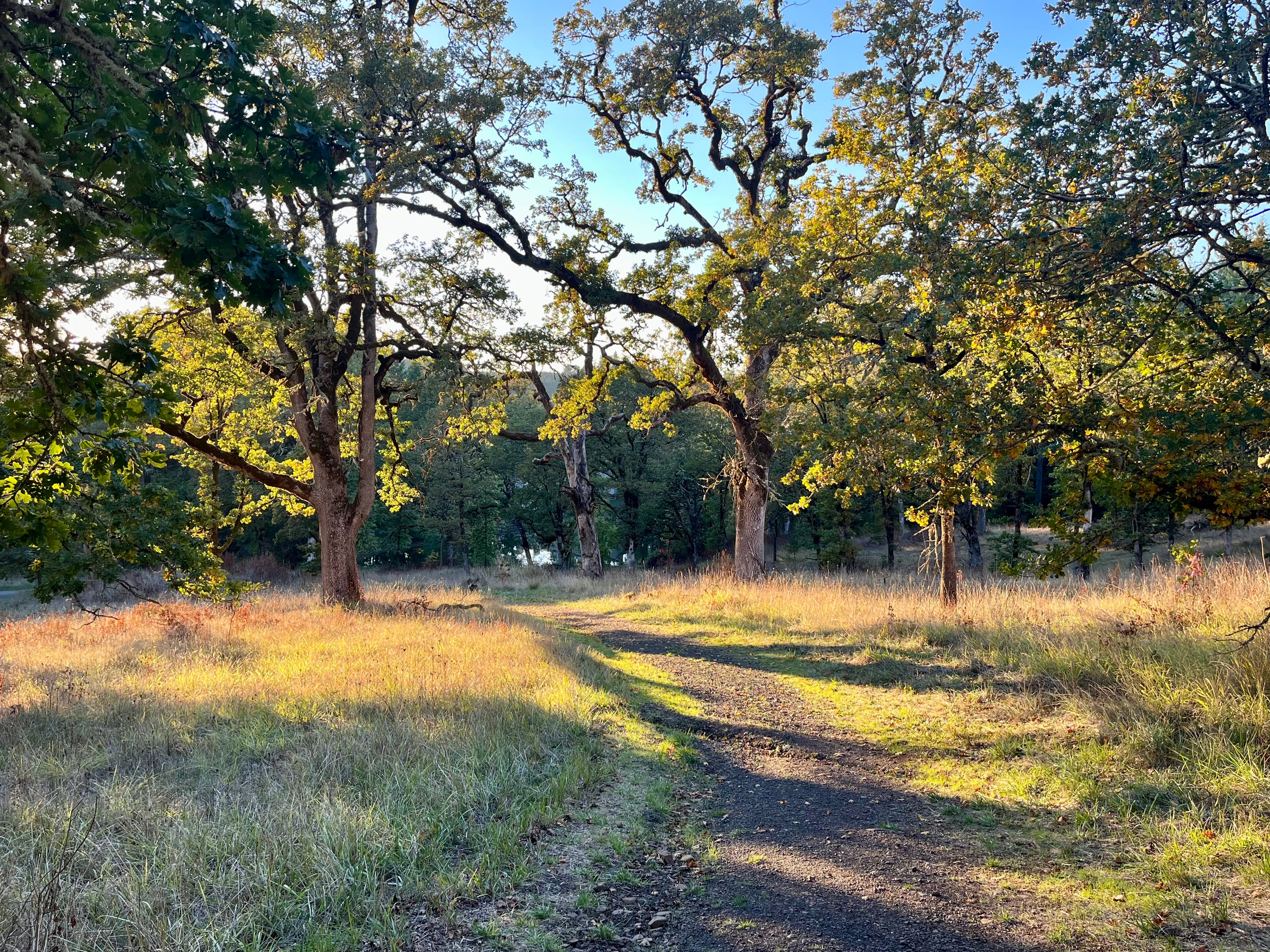 Walk Around