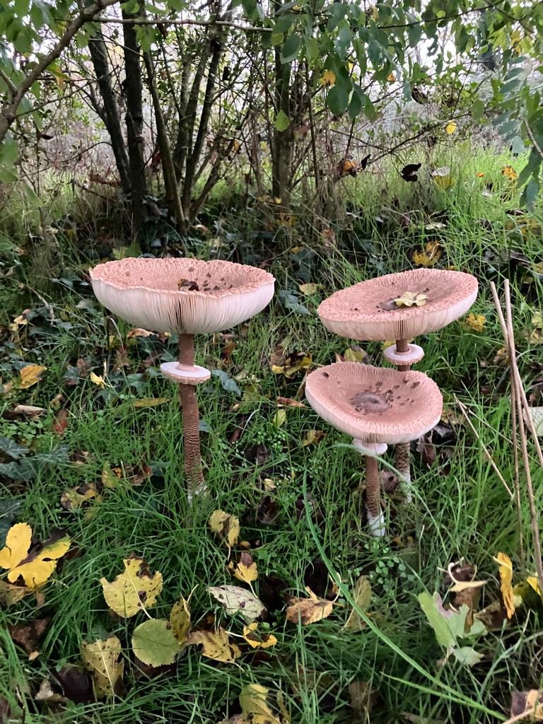 Come lavorare sull'ascolto genitori-figli, inventando una storia insieme