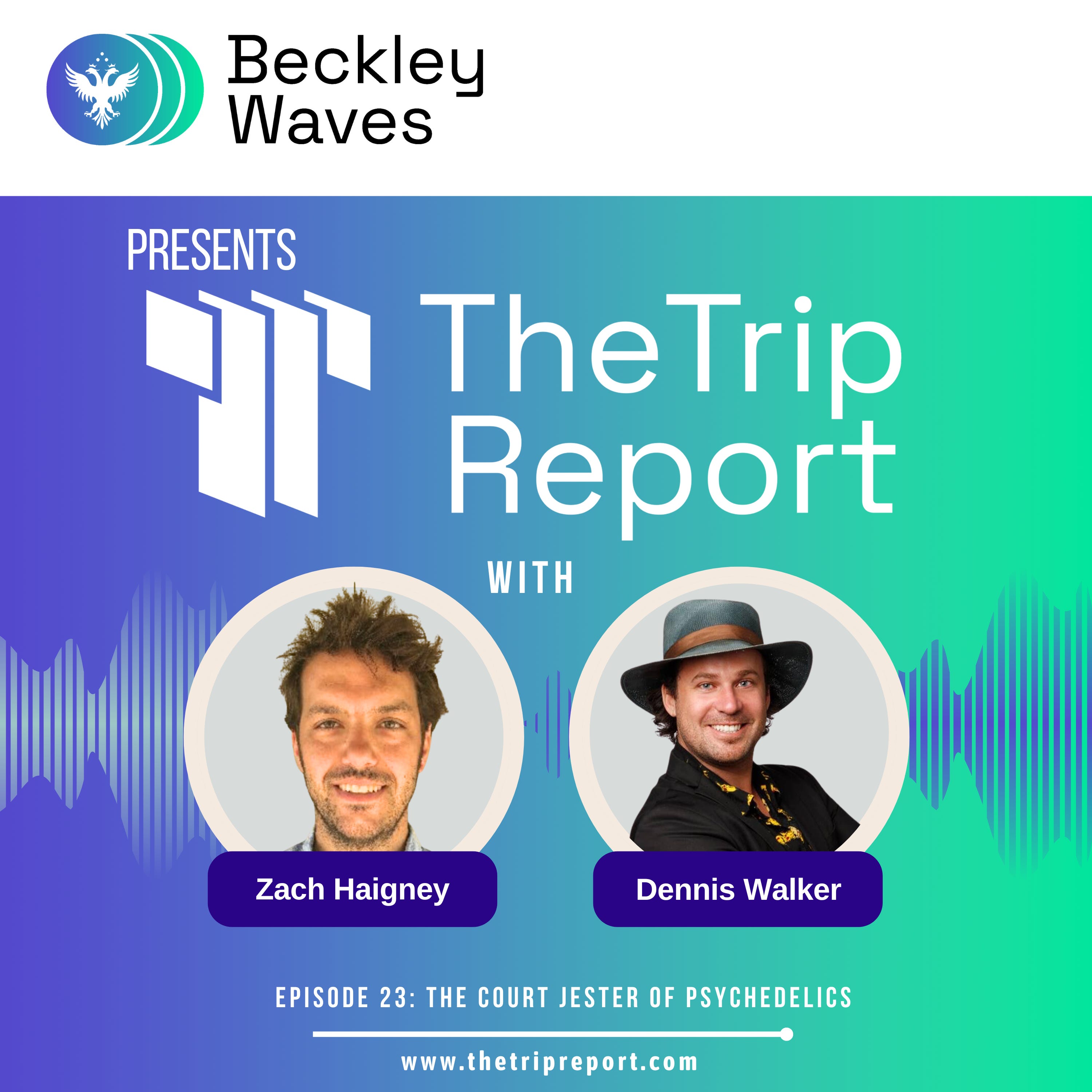 The Trip Report