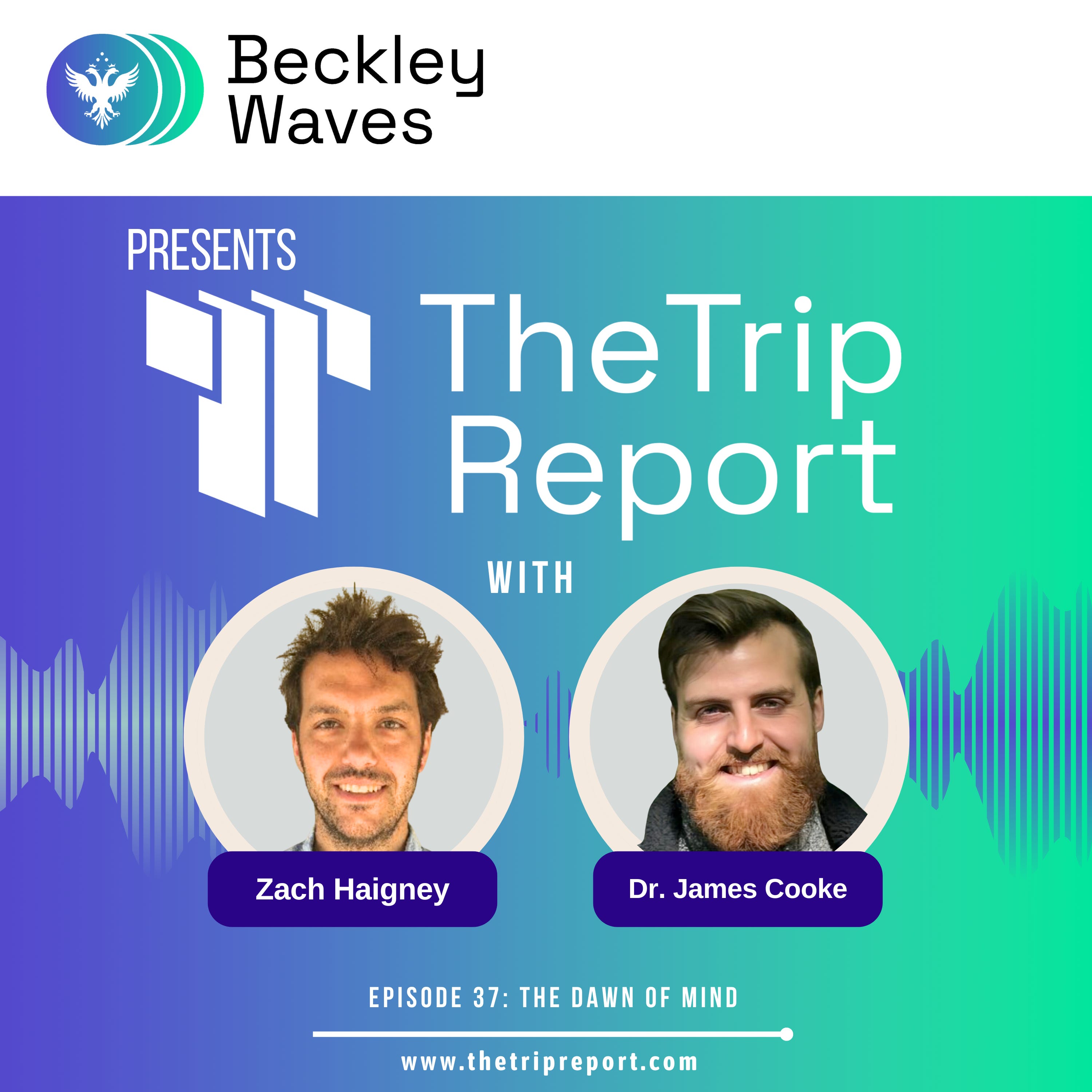 The Trip Report