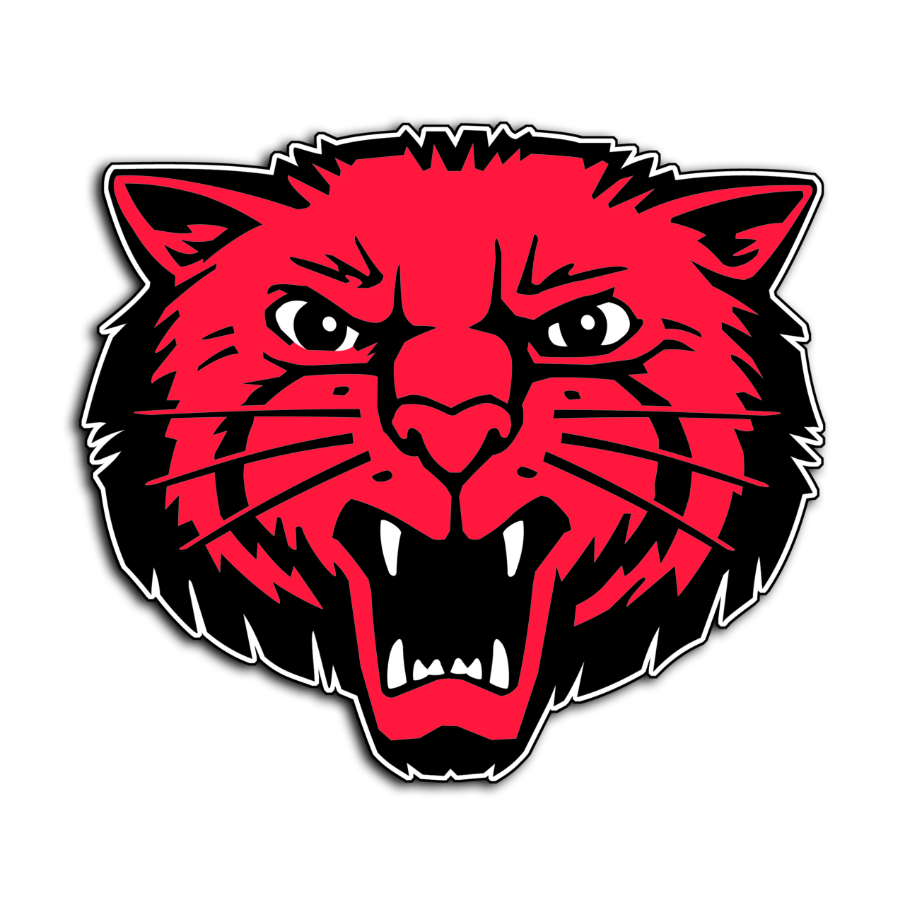 Bearcat Wrap-up Podcast