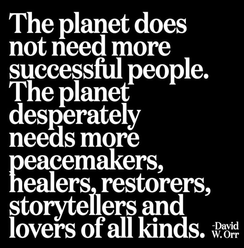 The planet does not need more successful people