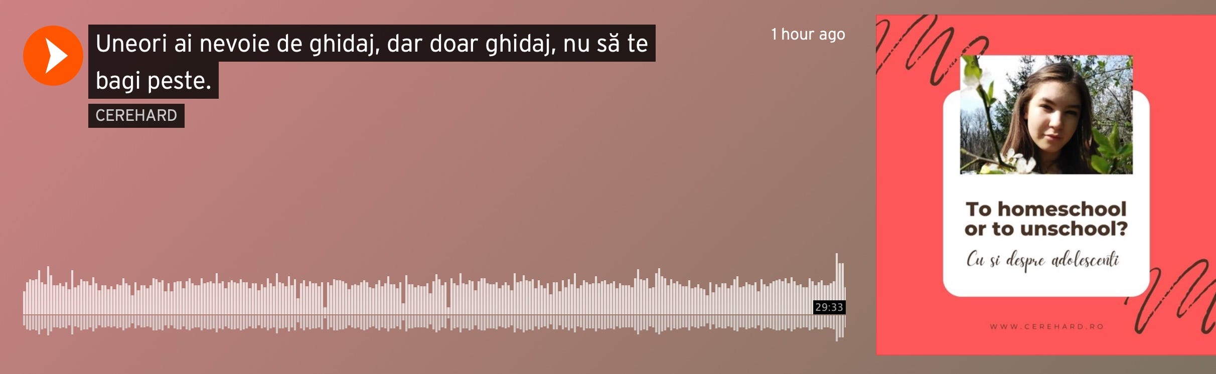 M-au lăsat să mă dau cu capul.