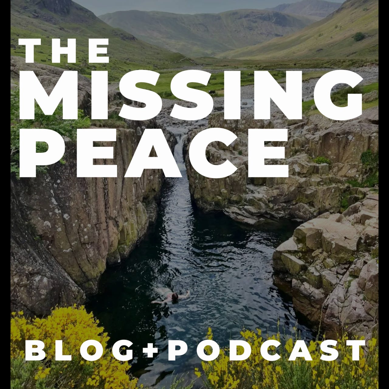 The Missing Peace Podcast