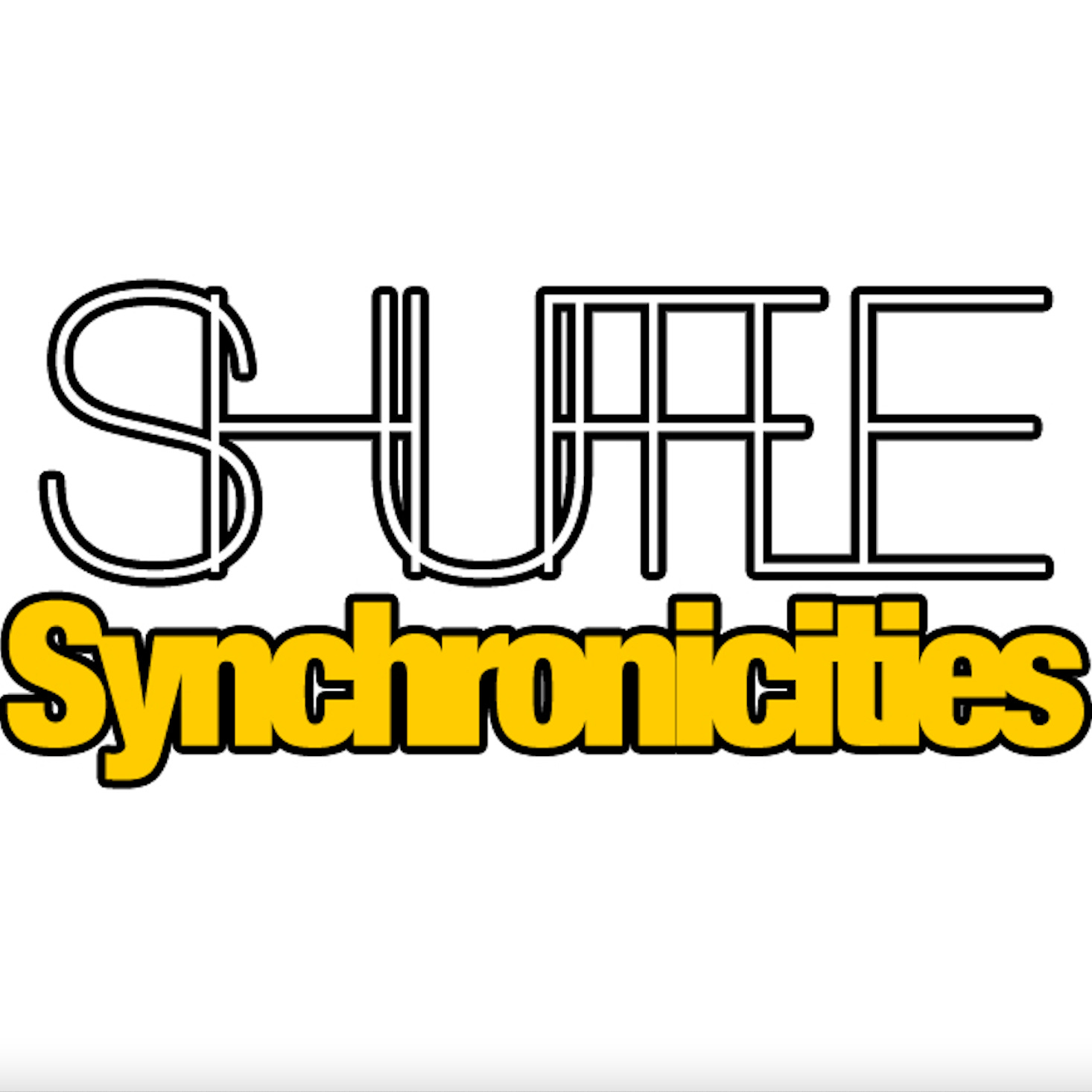 Live Video Shuffle Synchronicities #1 and #2