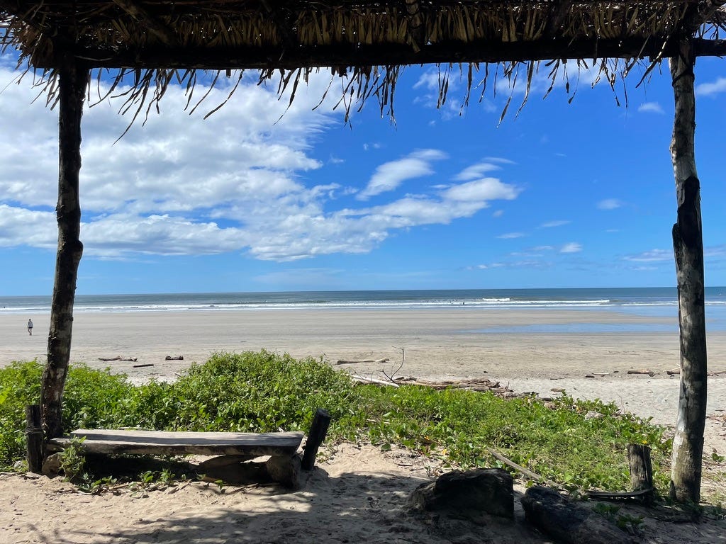 Surfing the Waves Back Home: Reset, Reform, Return