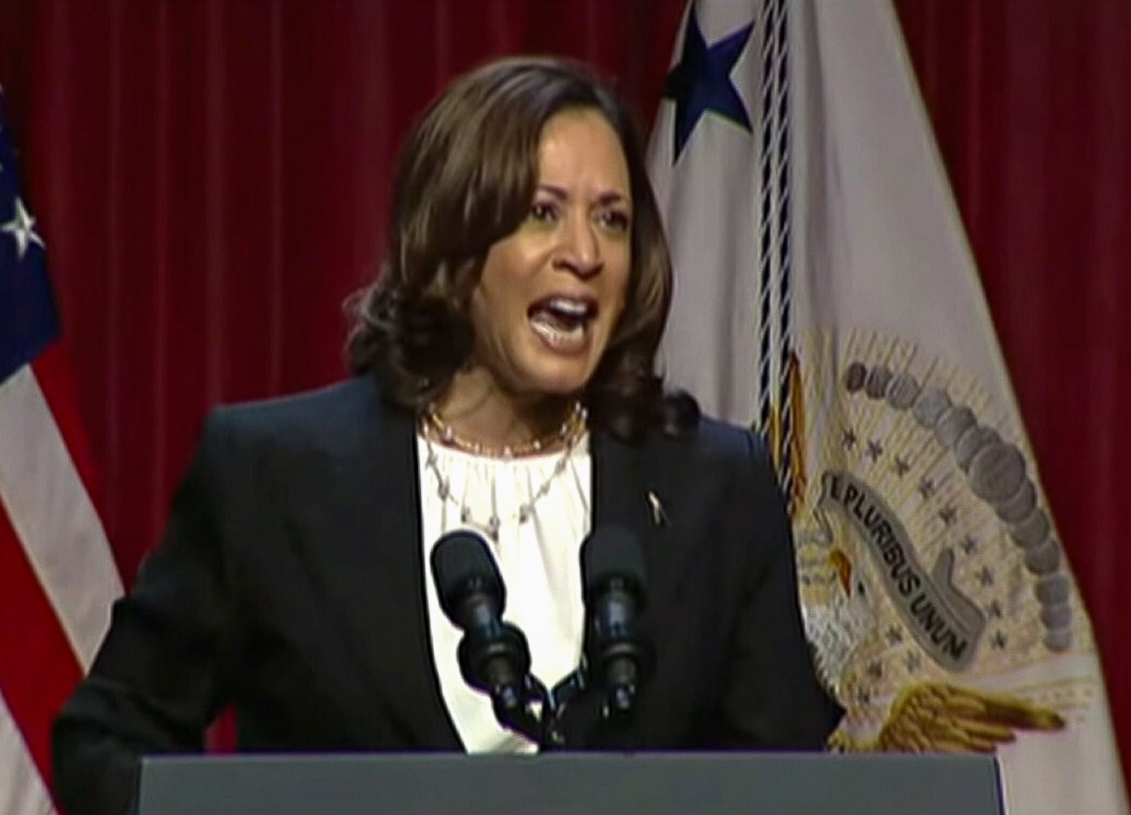 Race-Baiting Enabled Kamala Harris’ Undemocratic Power Grab
