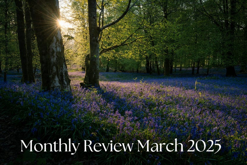 Monthly Review, March 2025