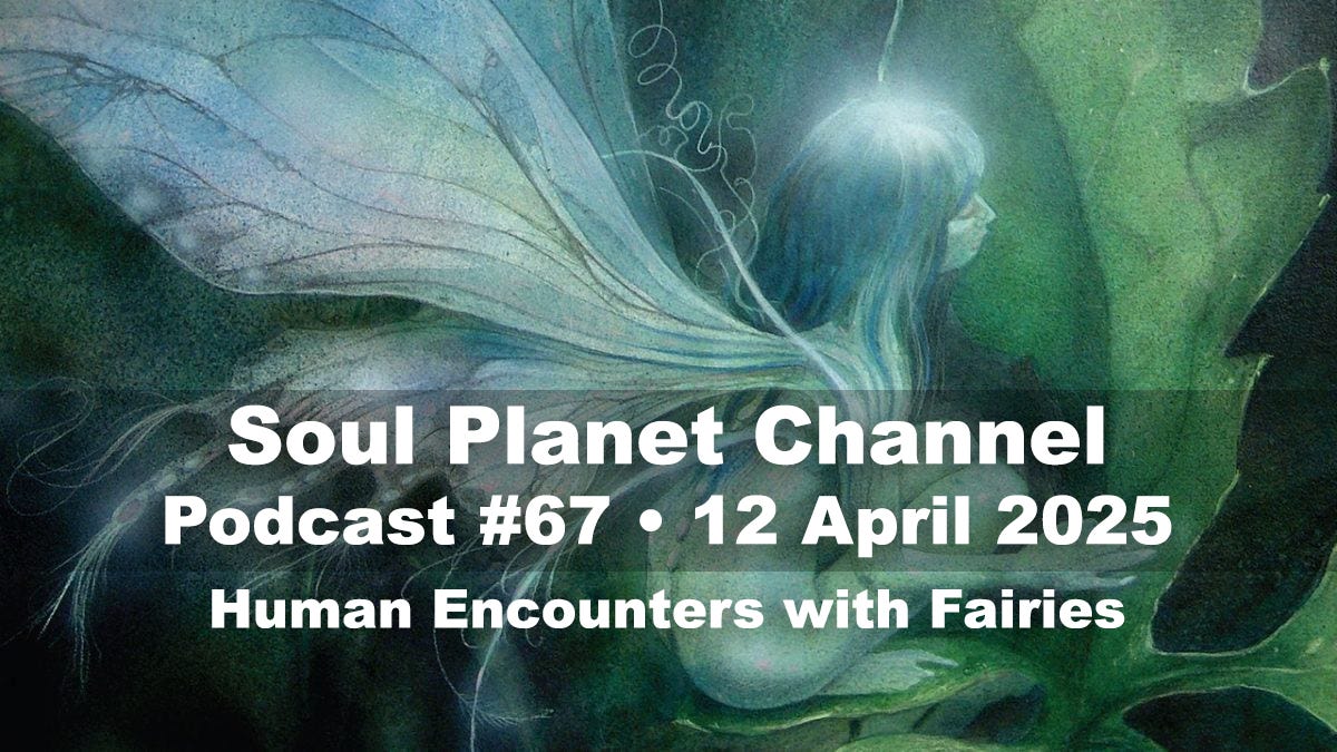 #67 • Monitor Explains Human Connections with Fairies