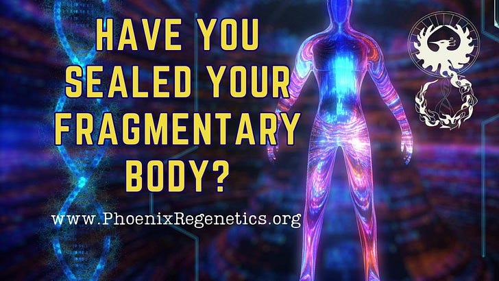 🧩 Innerstanding Your Bioenergy Blueprint
