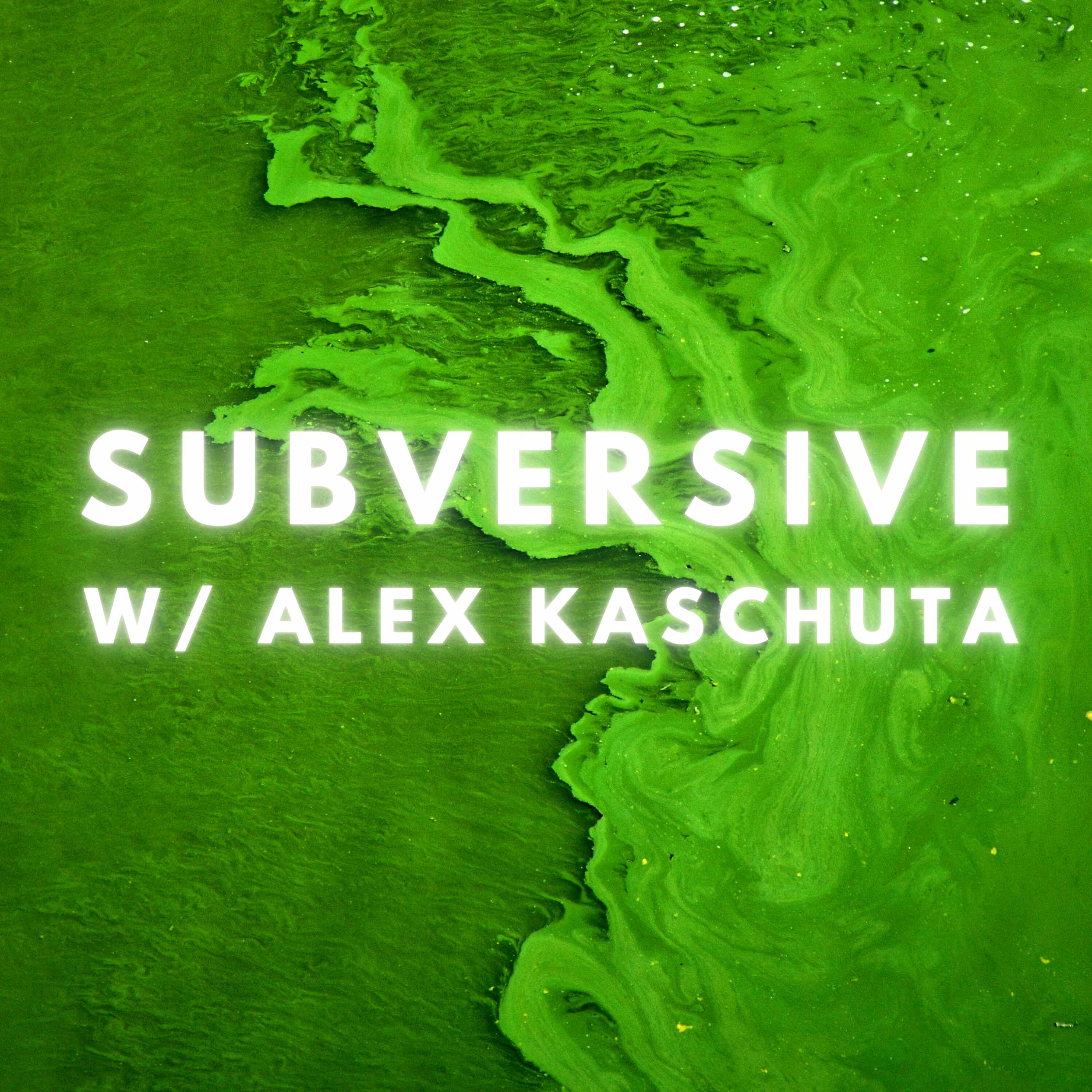 Exclusive Episodes of Subversive  (private feed for dochealy@gmail.com)