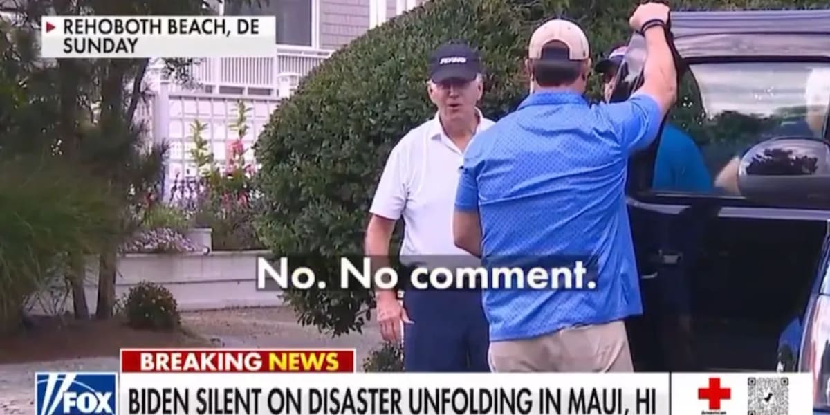 Here's a $700 stimmy, Jack! Biden Admin offers a meager $50 million in emergency aid to Maui residents, while Ukraine proposal seeks 500x more money
