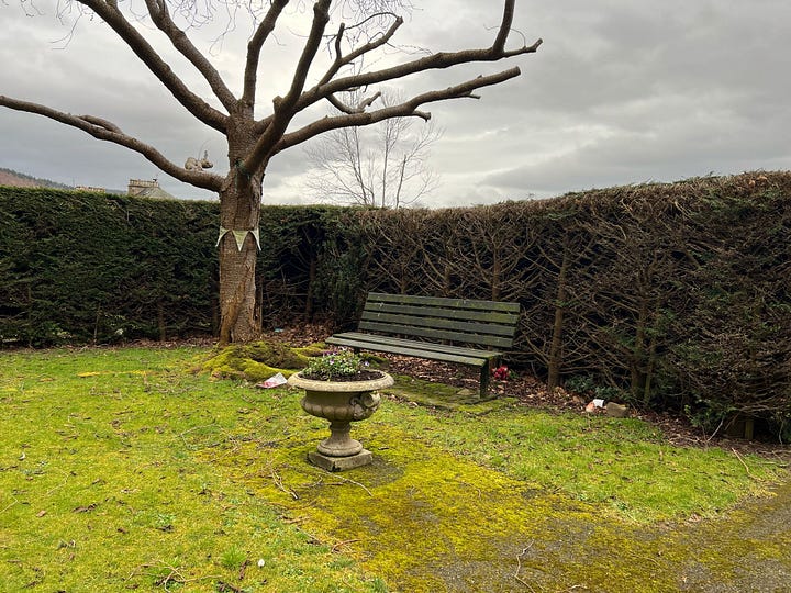 Two pictures, each of a bench with a hedge behind