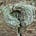 The Emergent Spiral's avatar